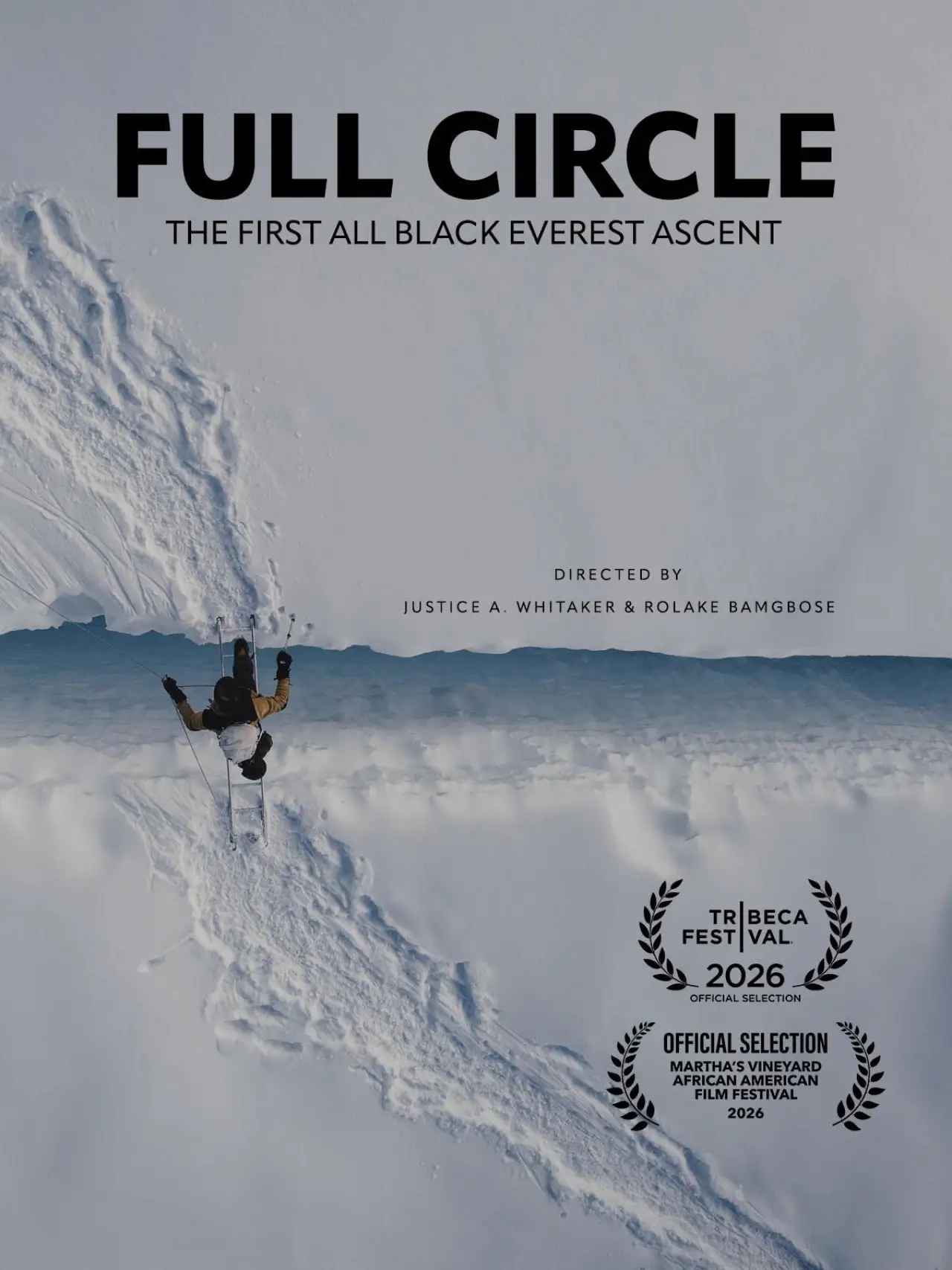 Постер к фильму "Full Circle: The First All Black Everest Ascent"