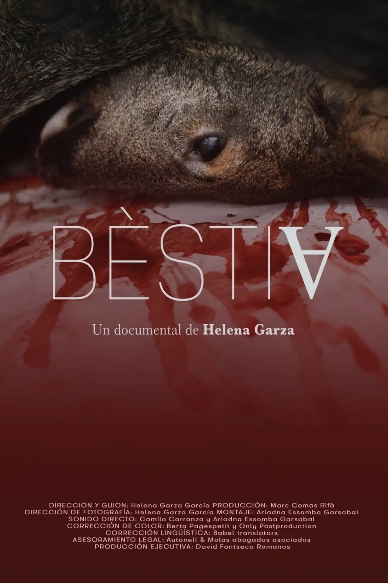 Постер к фильму "Bèstia"