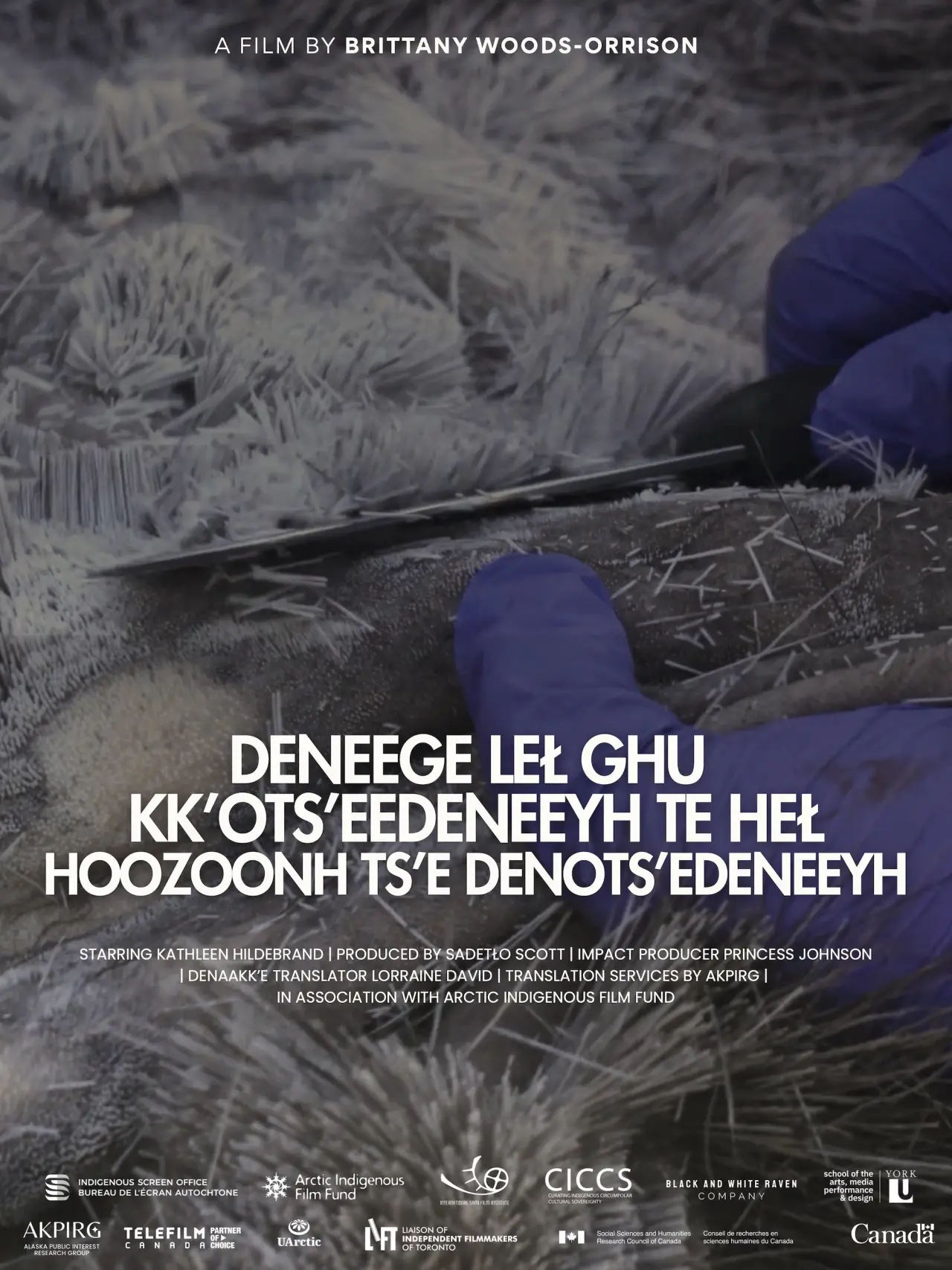Постер к фильму "Deneege Leł Ghu Kk’ots’eedeneeyh Te Heł Hoozoonh Ts’e Denots’edeneeyh"