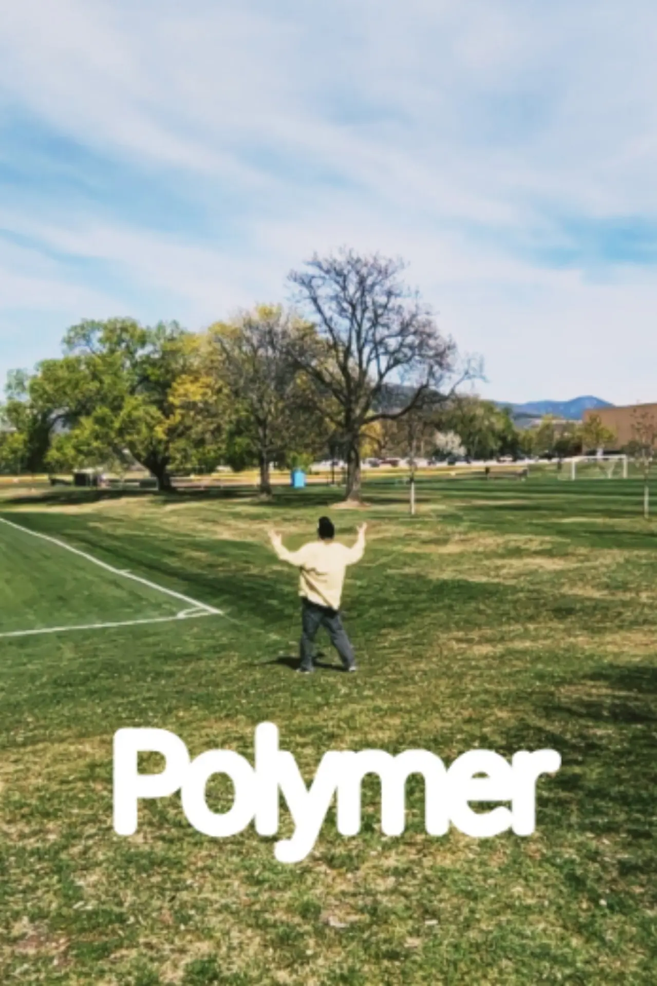 Постер к фильму "Polymer"