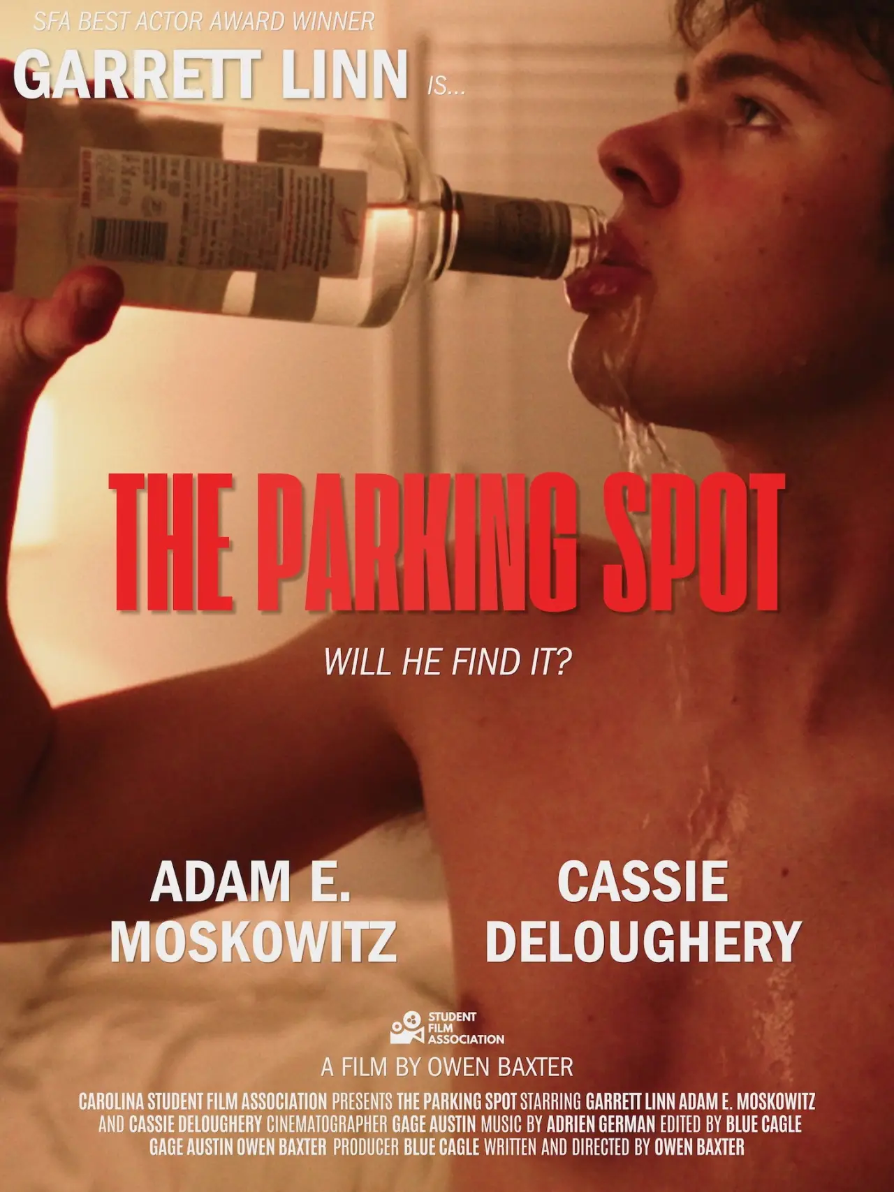 Постер к фильму "The Parking Spot"