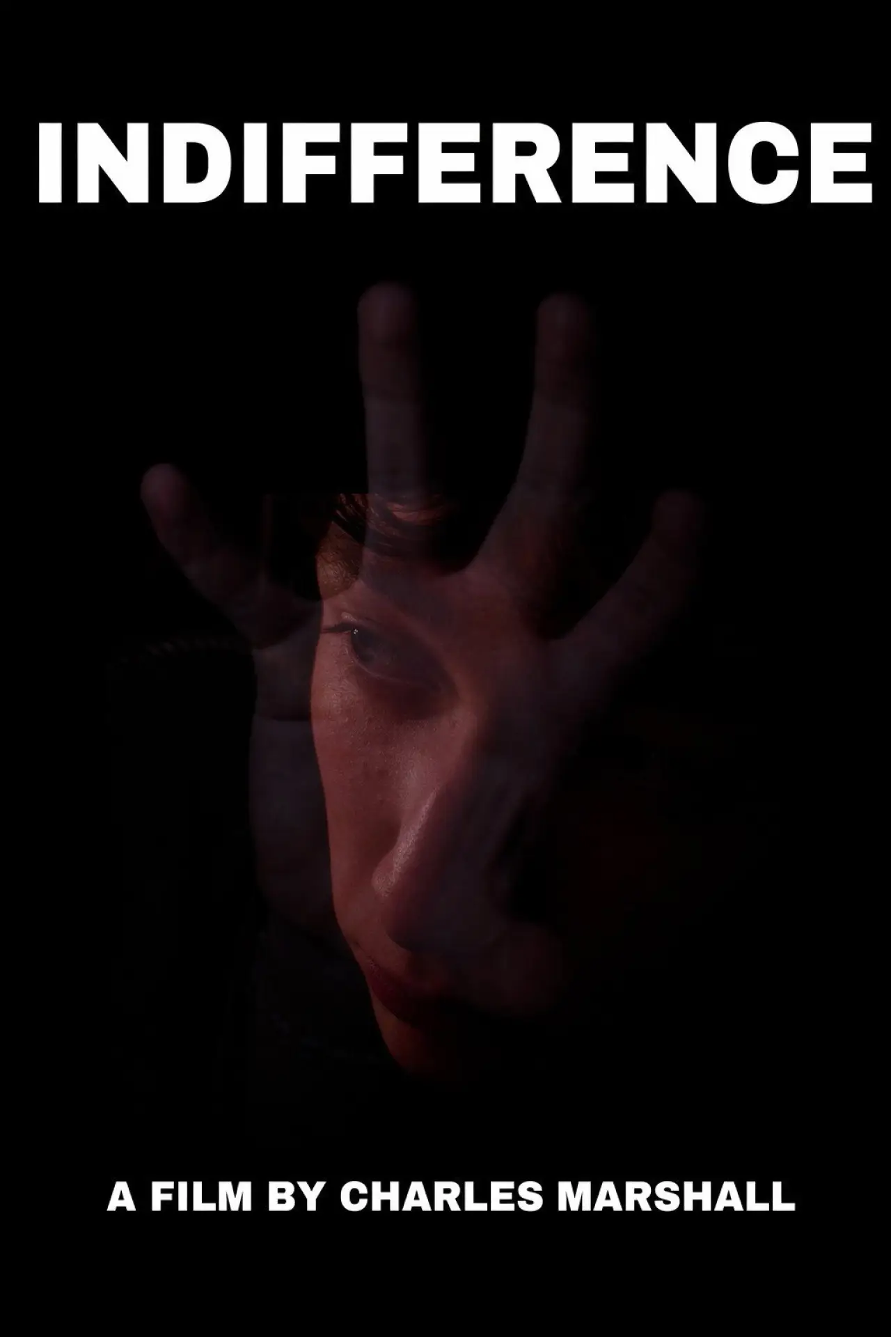 Постер к фильму "Indifference"