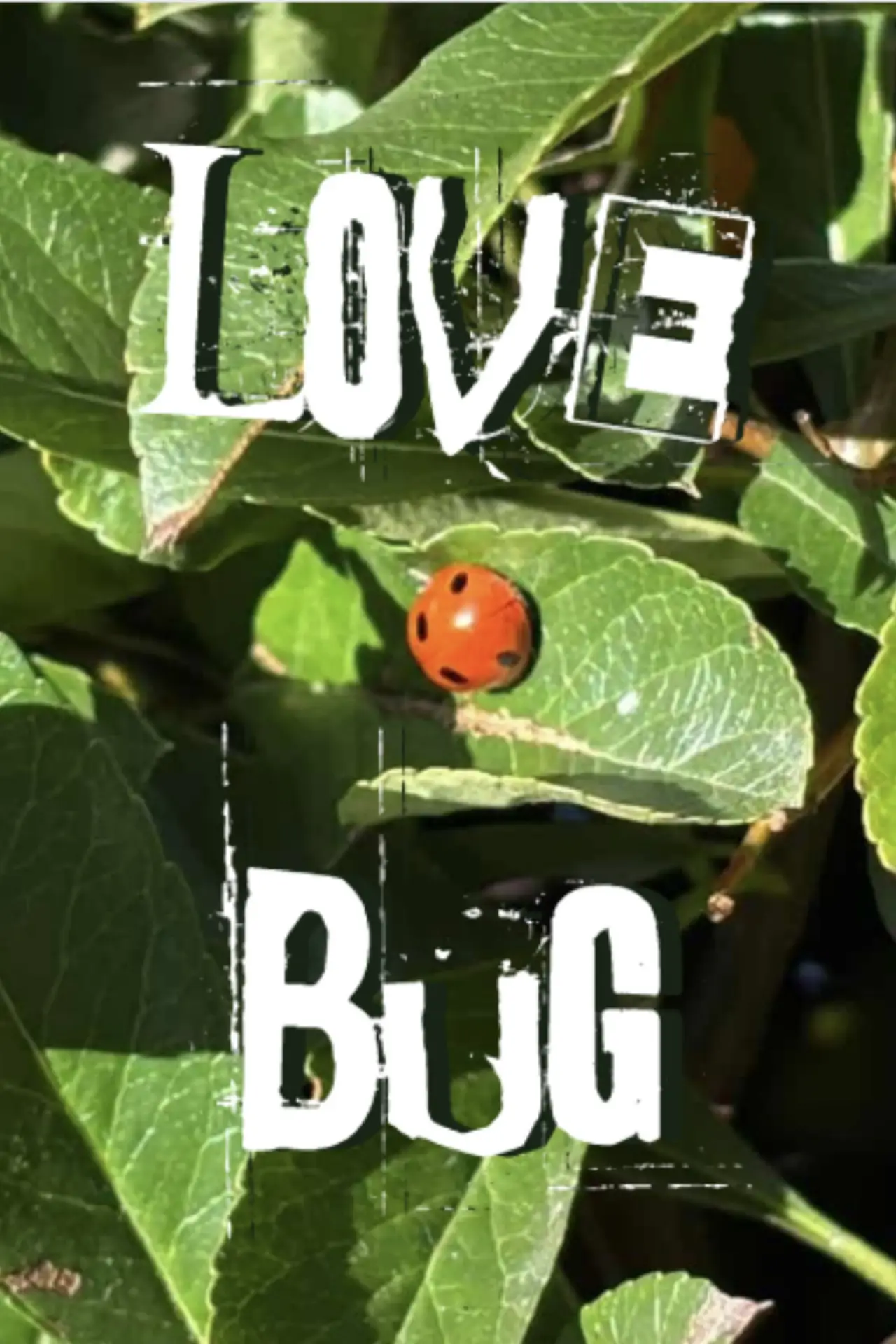 Постер к фильму "Lovebug"