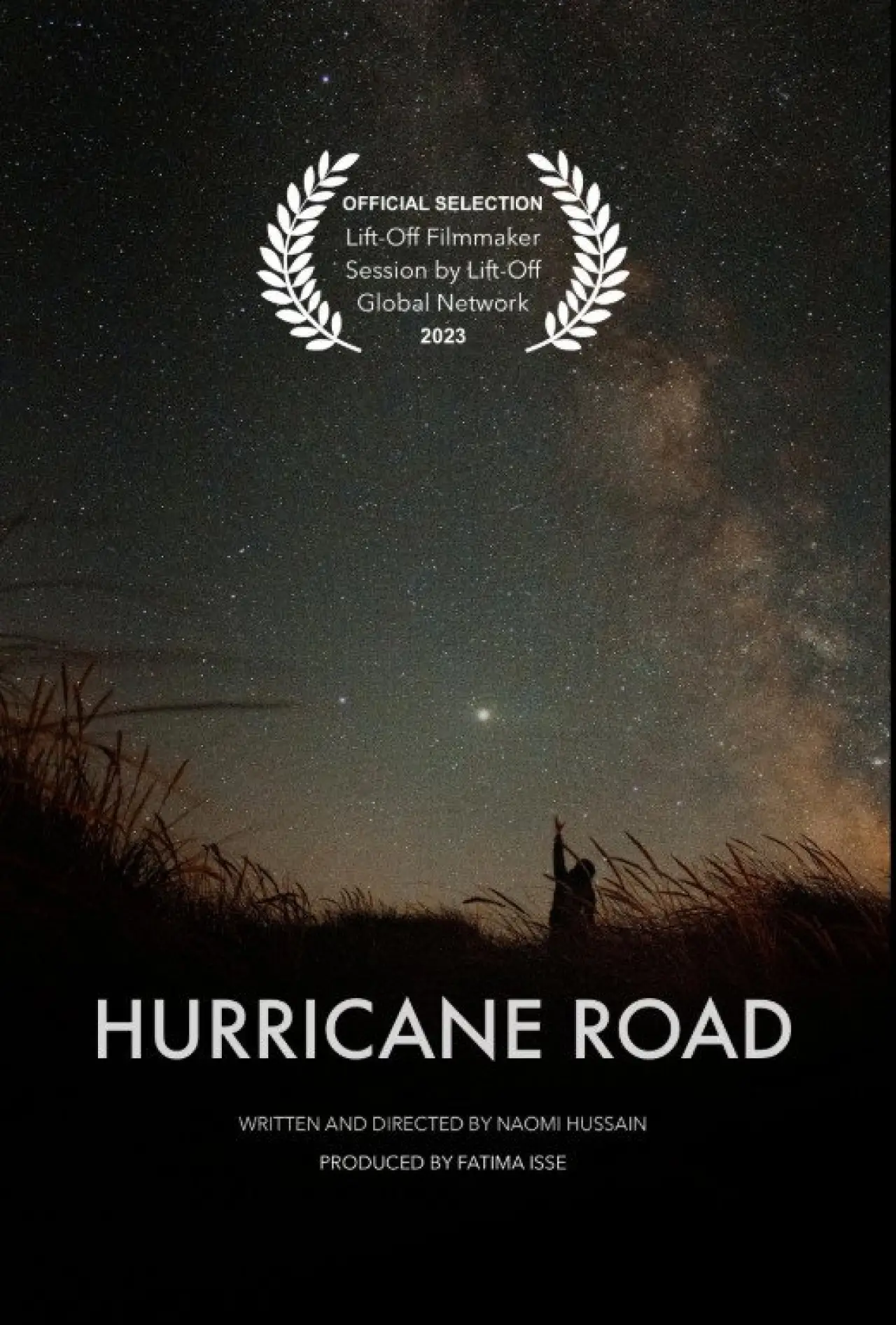 Постер к фильму "Hurricane Road"