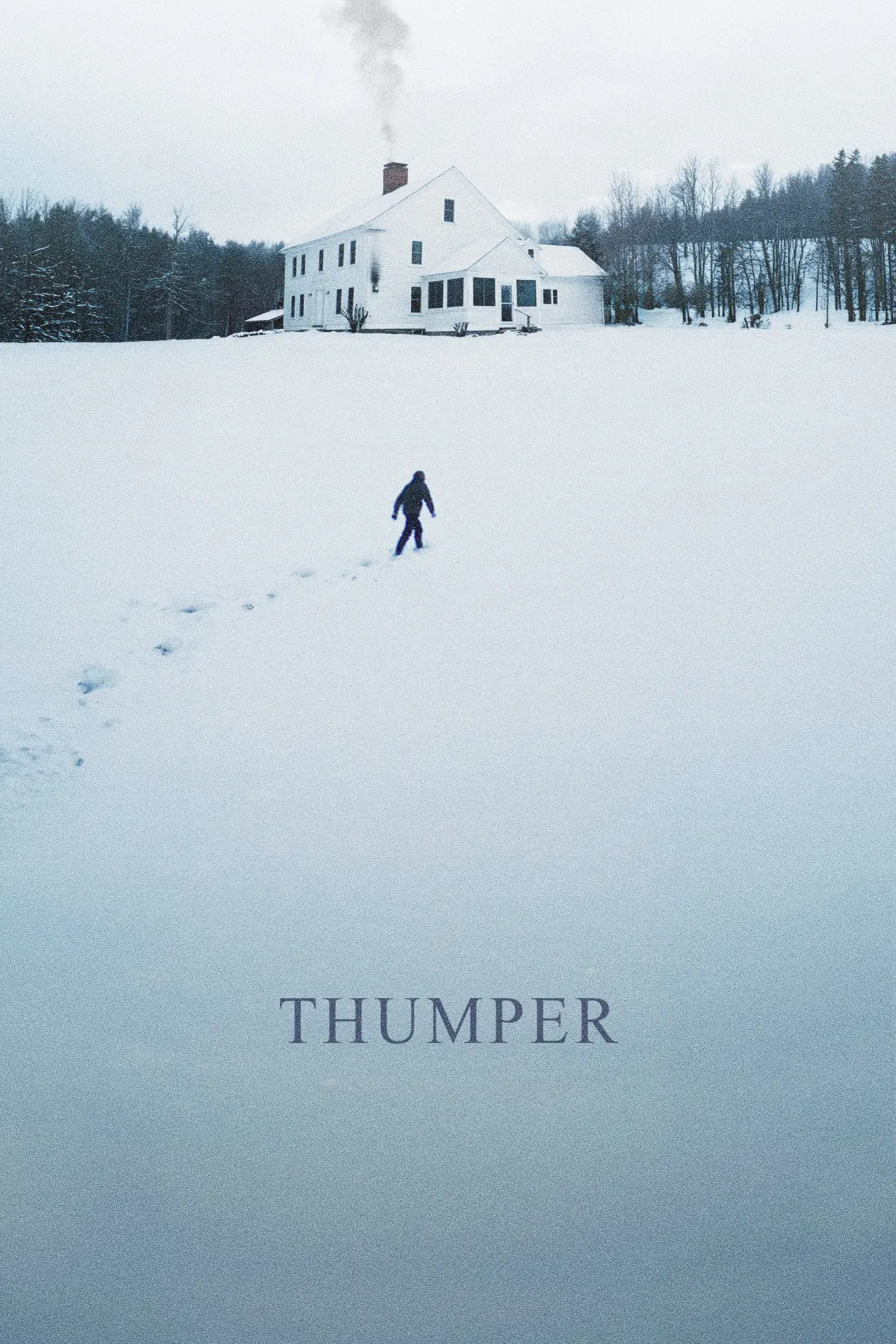 Постер к фильму "Thumper"