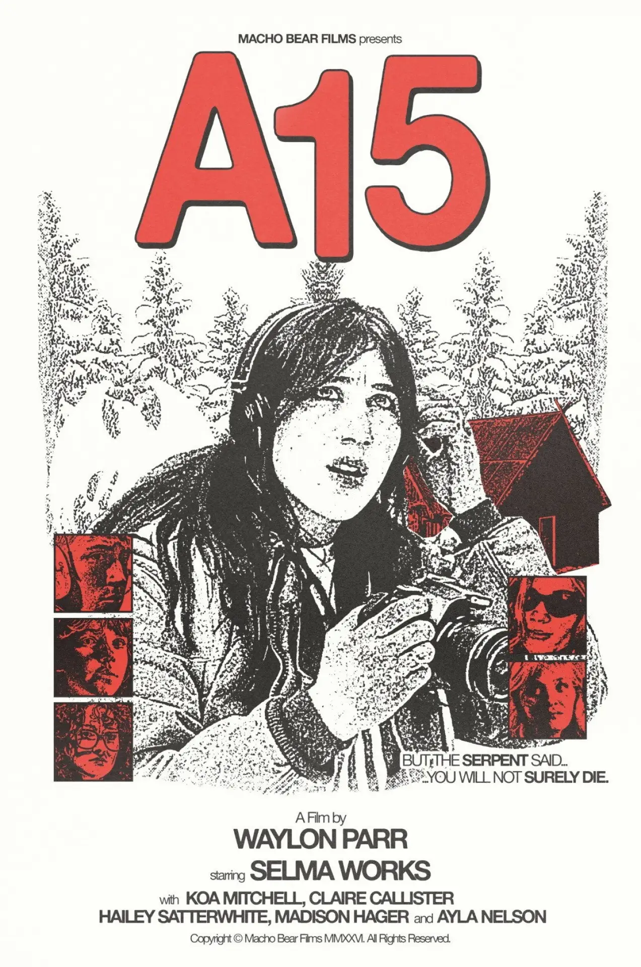 Постер к фильму "A15"