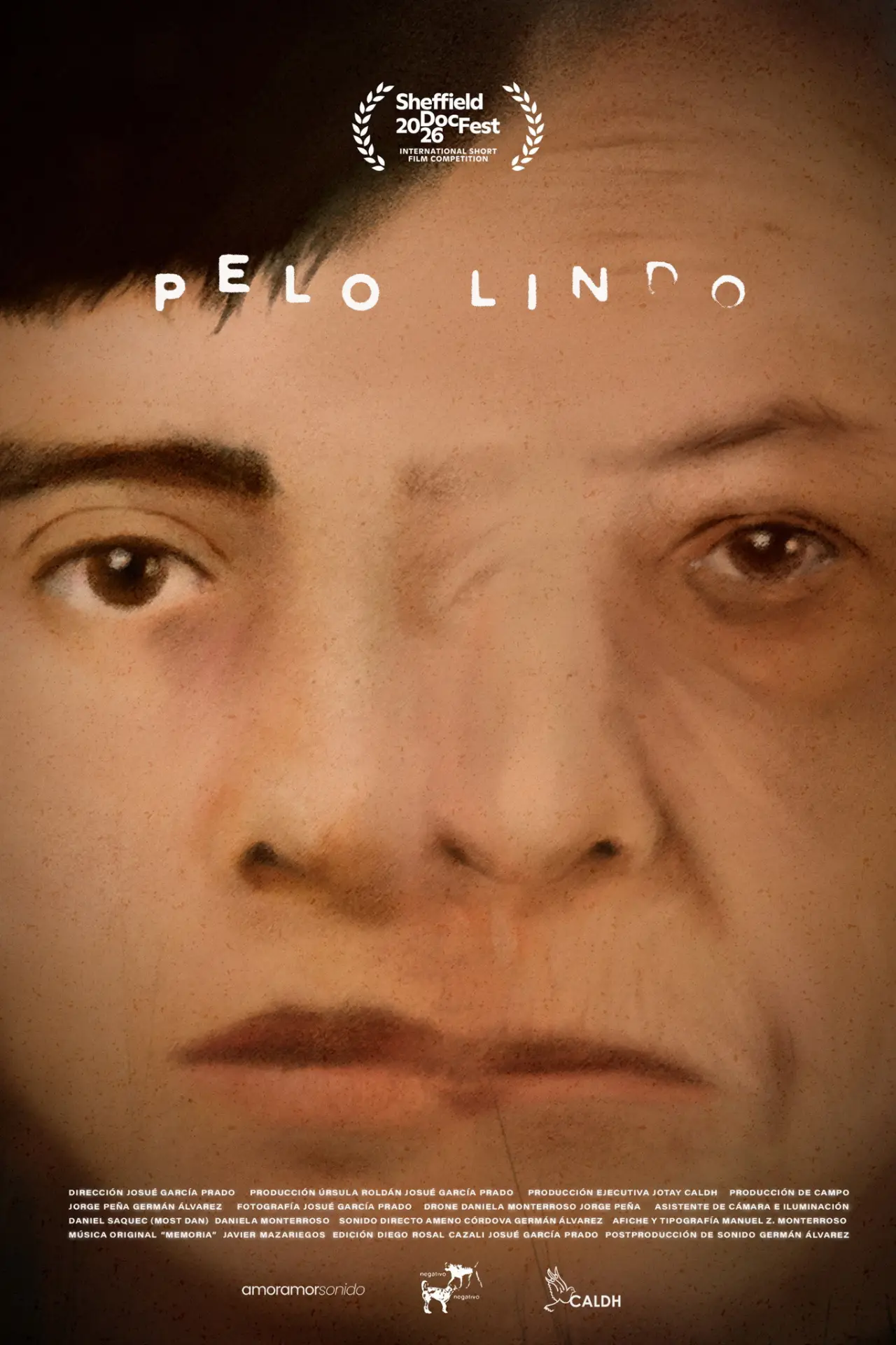 Постер к фильму "Pelo Lindo"