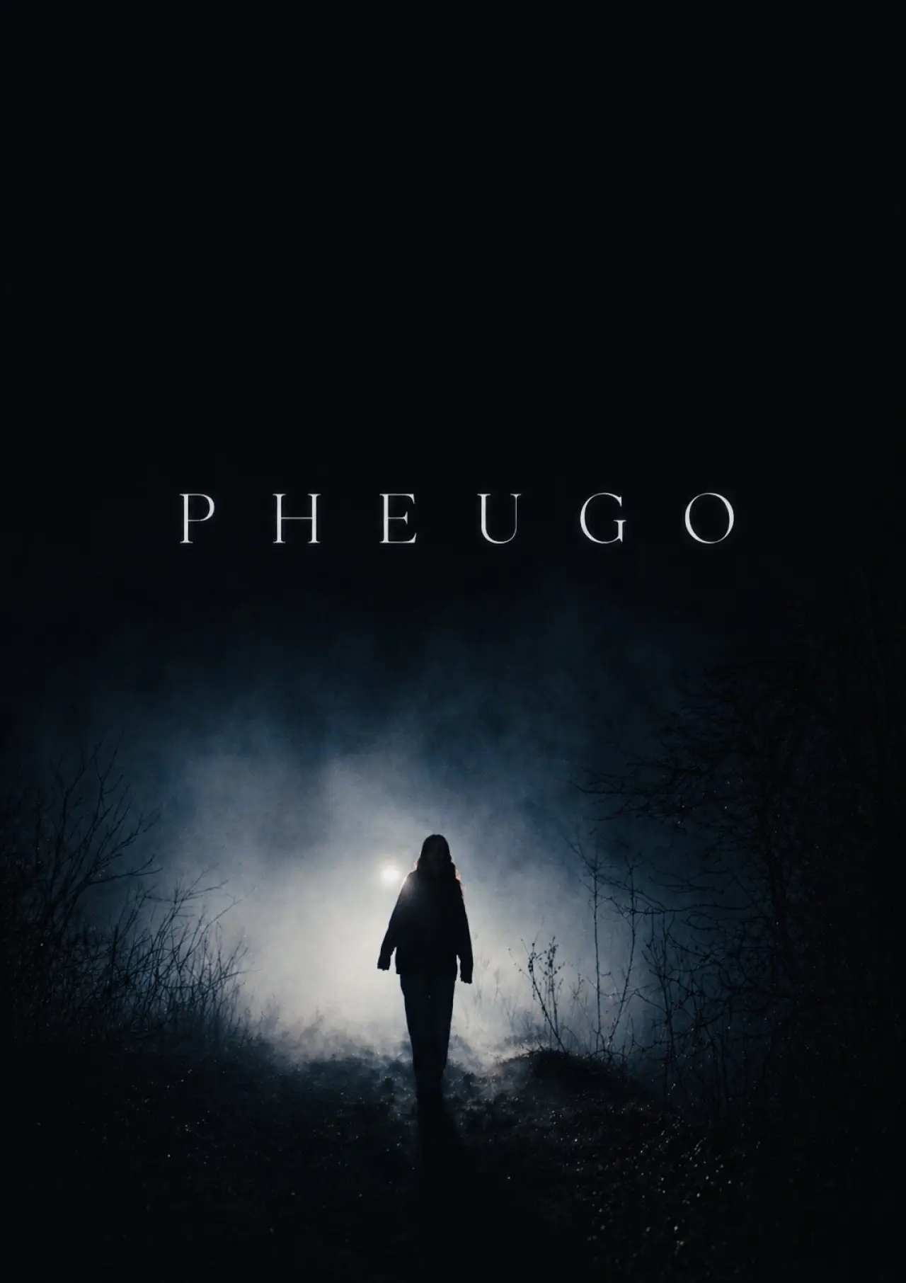 Постер к фильму "Pheugo"