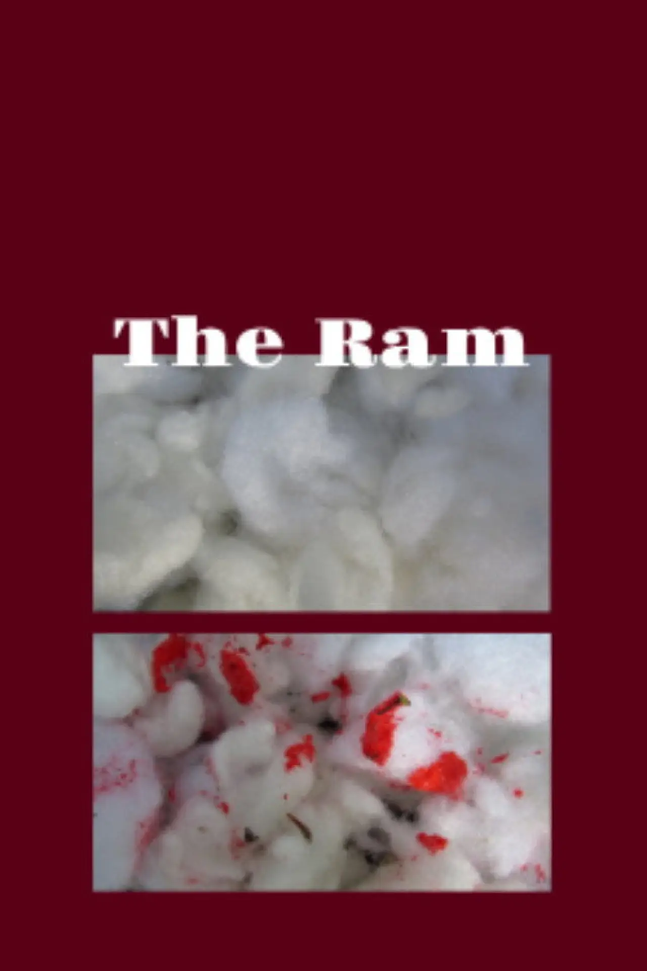 Постер к фильму "The Ram"