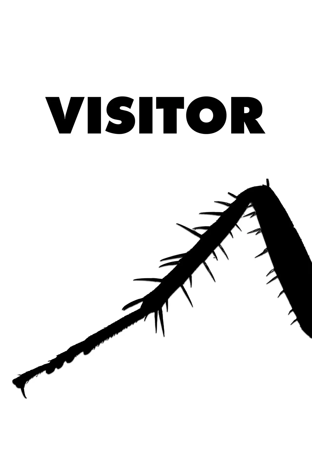 Постер к фильму "Visitor"