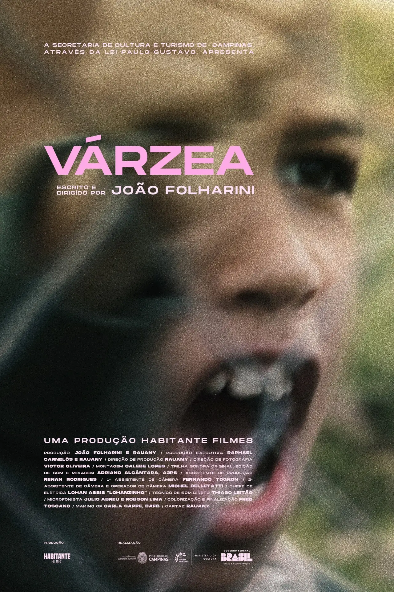 Постер к фильму "Várzea"