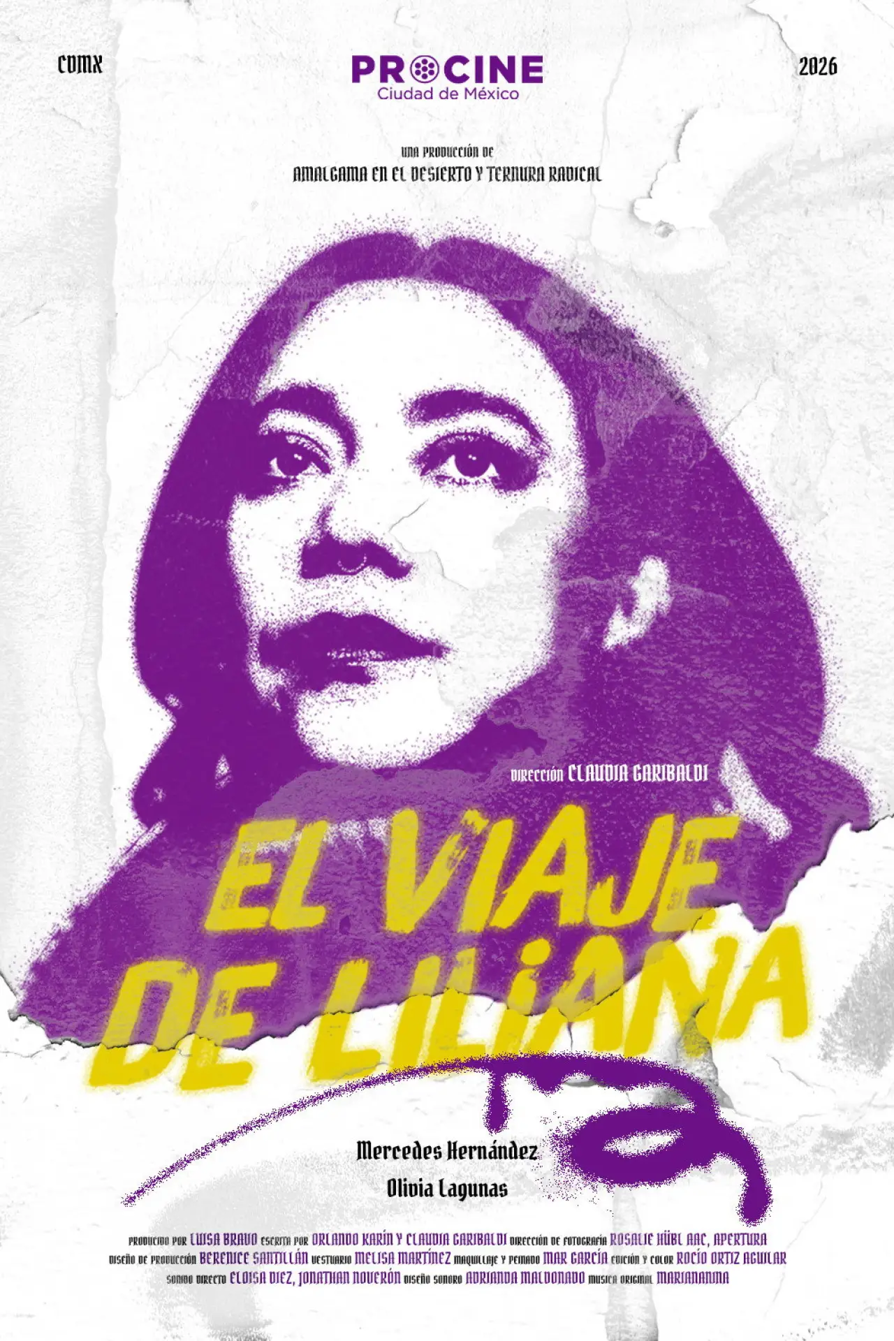 Постер к фильму "El viaje de Liliana"