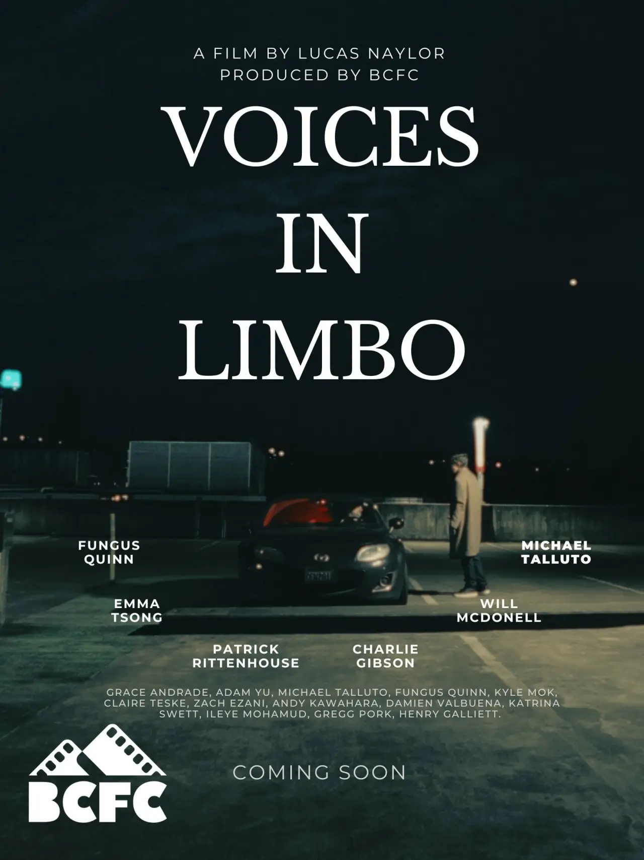 Постер к фильму "Voices In Limbo"