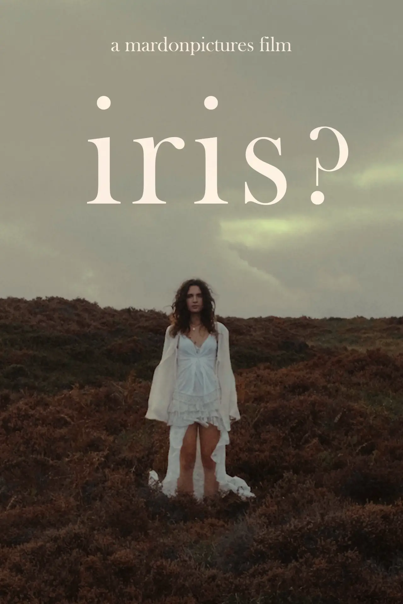 Постер к фильму "iris?"