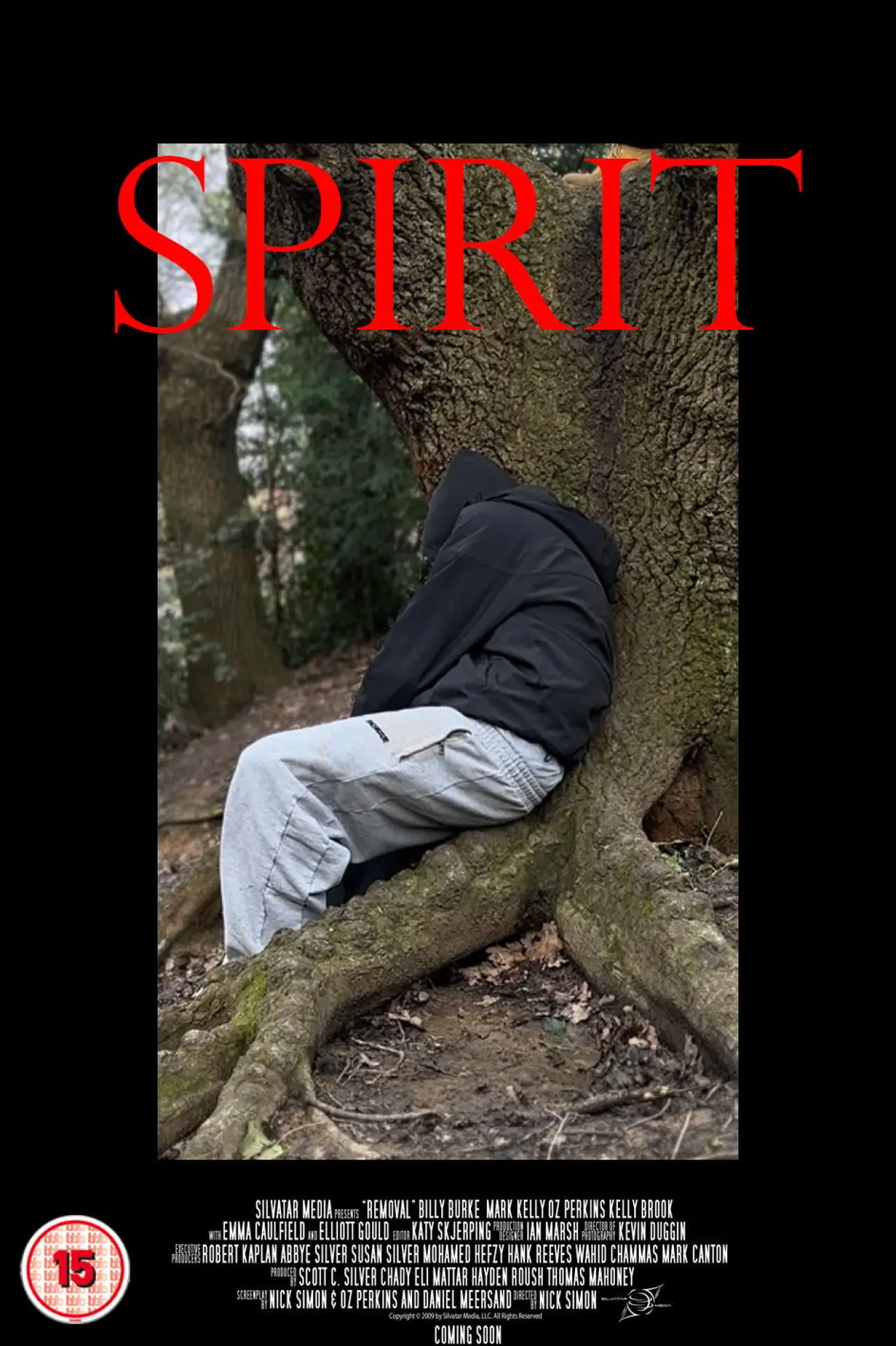 Постер к фильму "SPIRIT"