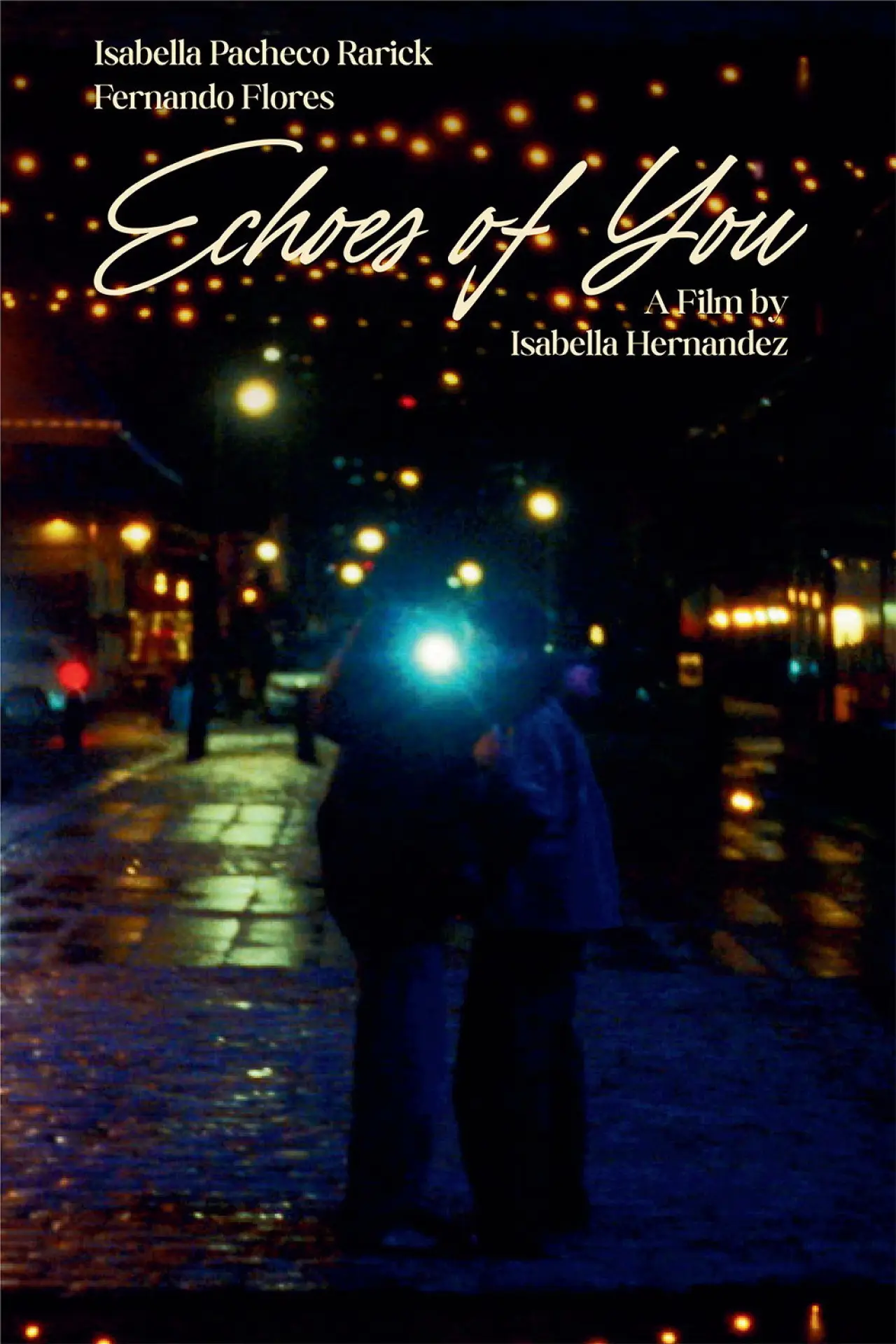 Постер к фильму "Echoes of You"