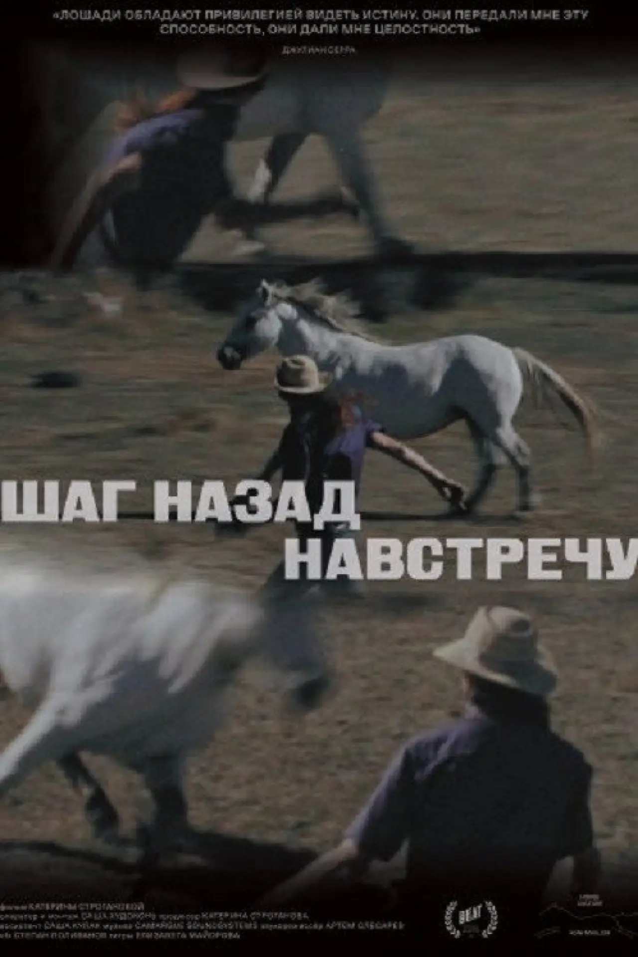 Постер к фильму "Шаг назад навстречу"