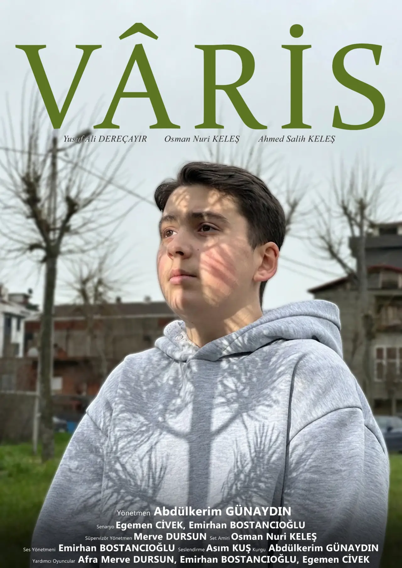 Постер к фильму "Vâris"
