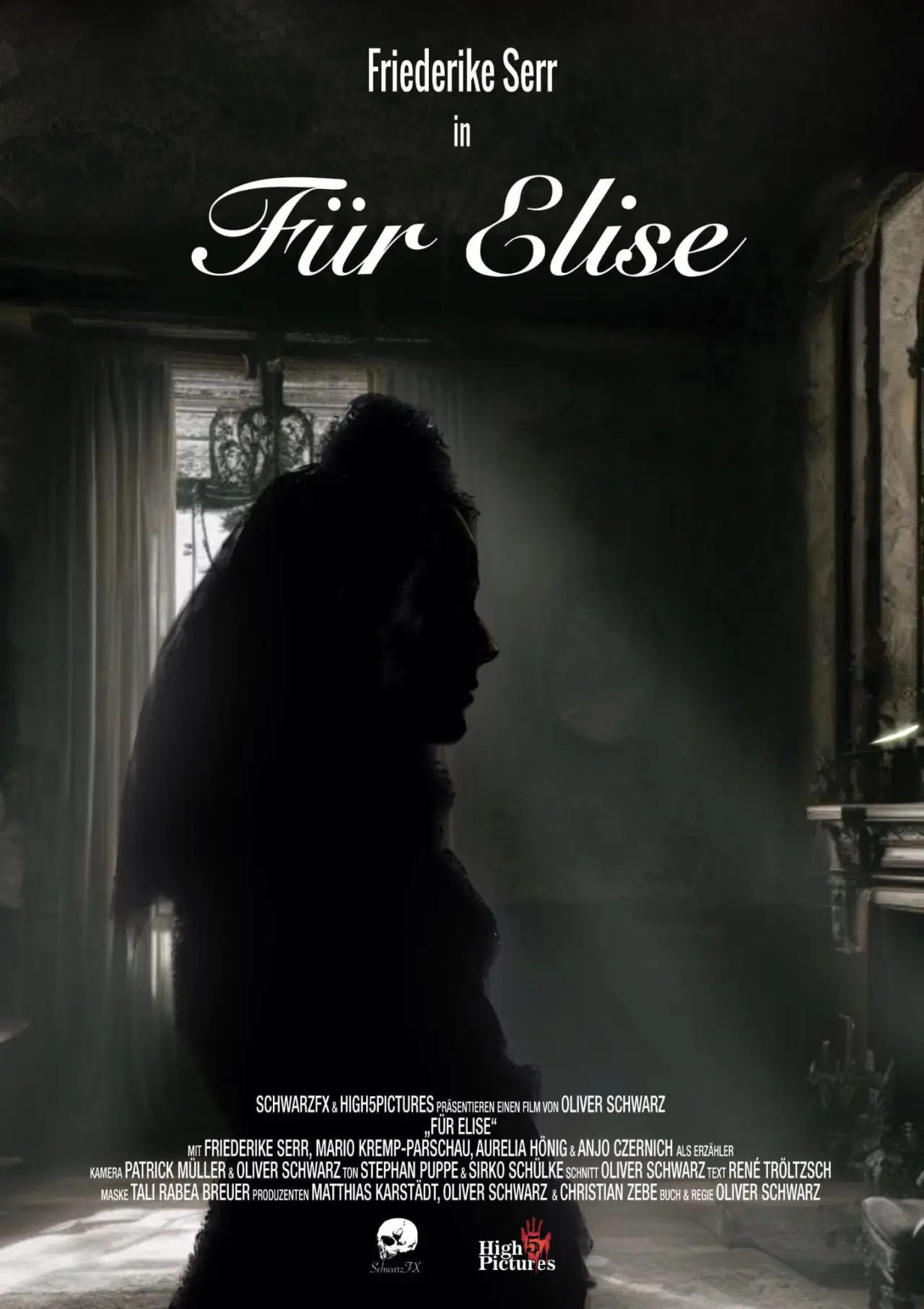 Постер к фильму "Für Elise"