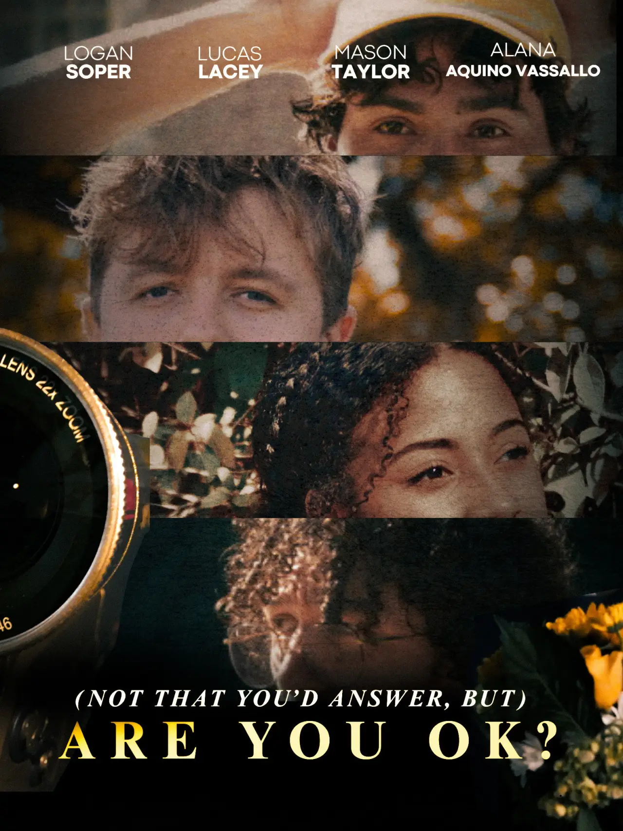 Постер к фильму "(Not That You