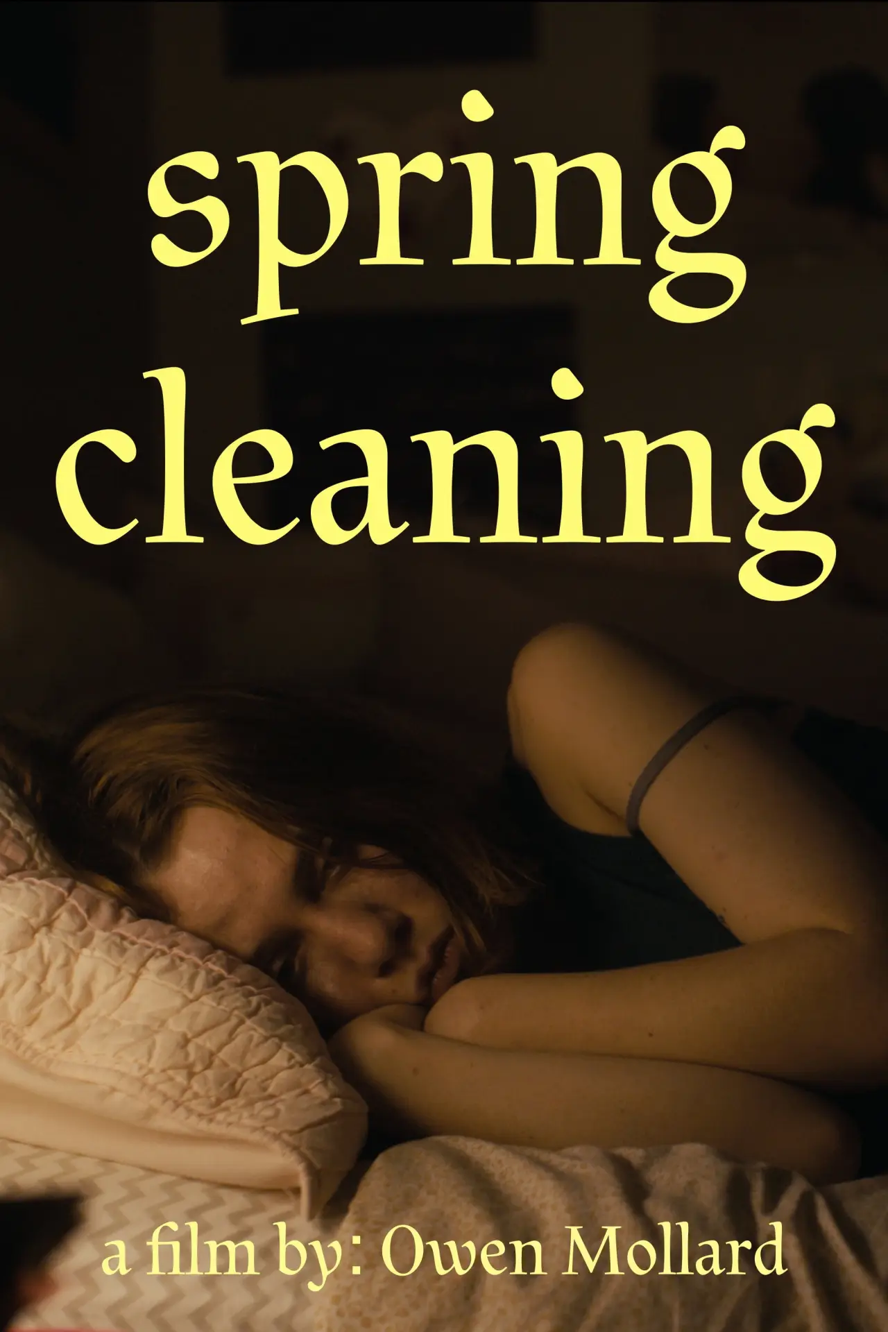 Постер к фильму "Spring Cleaning"