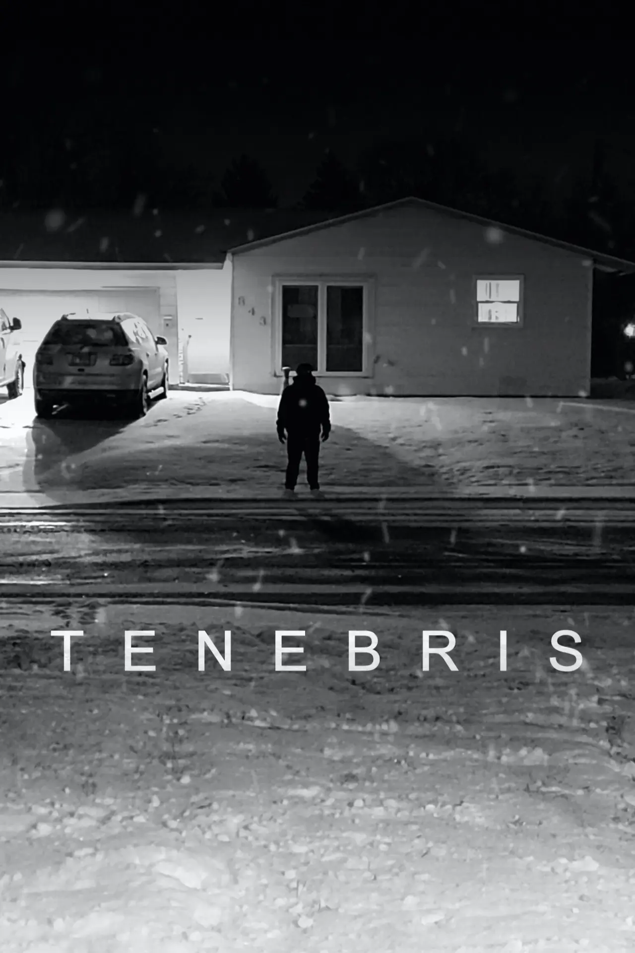 Постер к фильму "Tenebris"