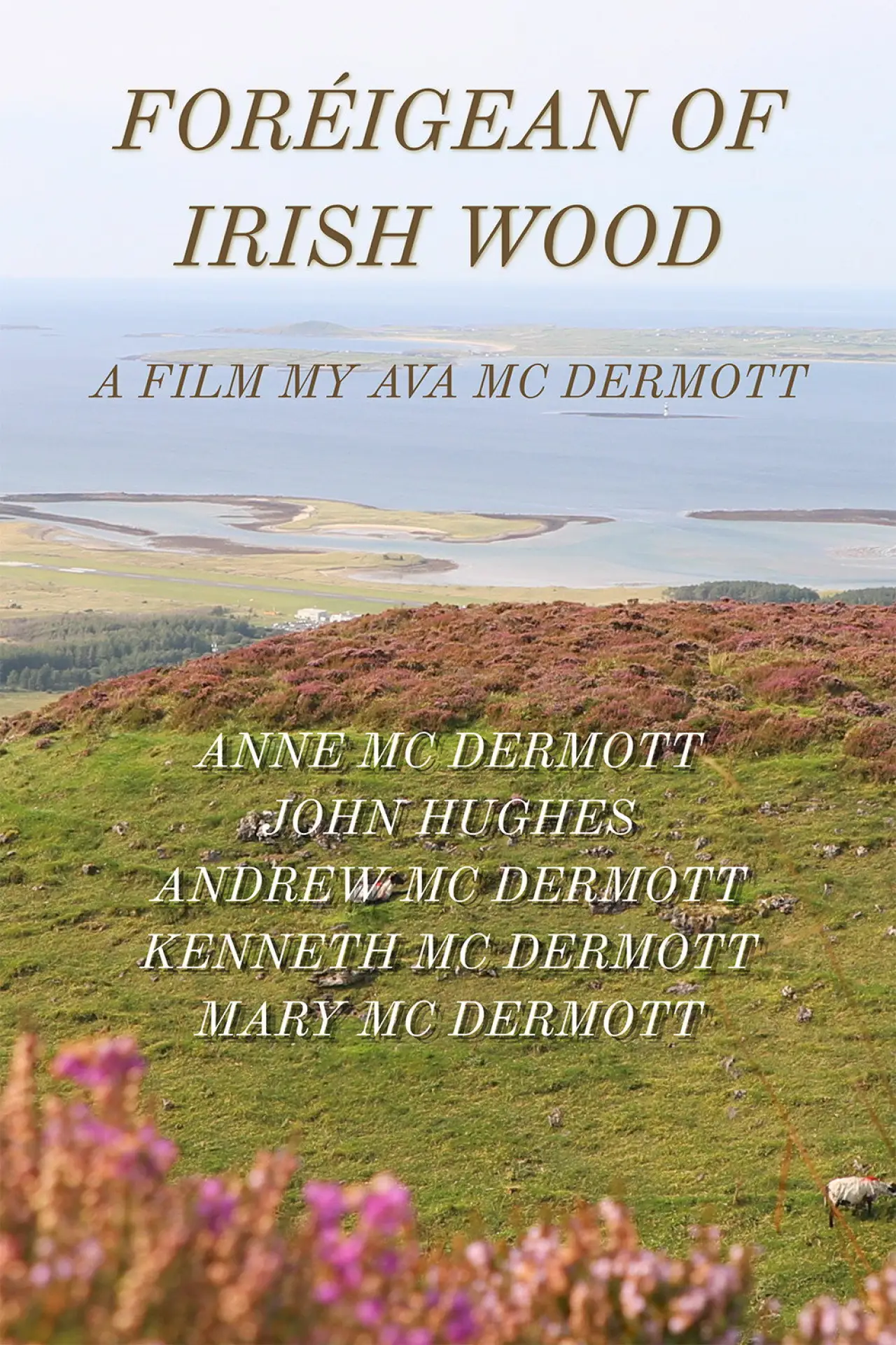 Постер к фильму "Foreigean of the Irish Woods"