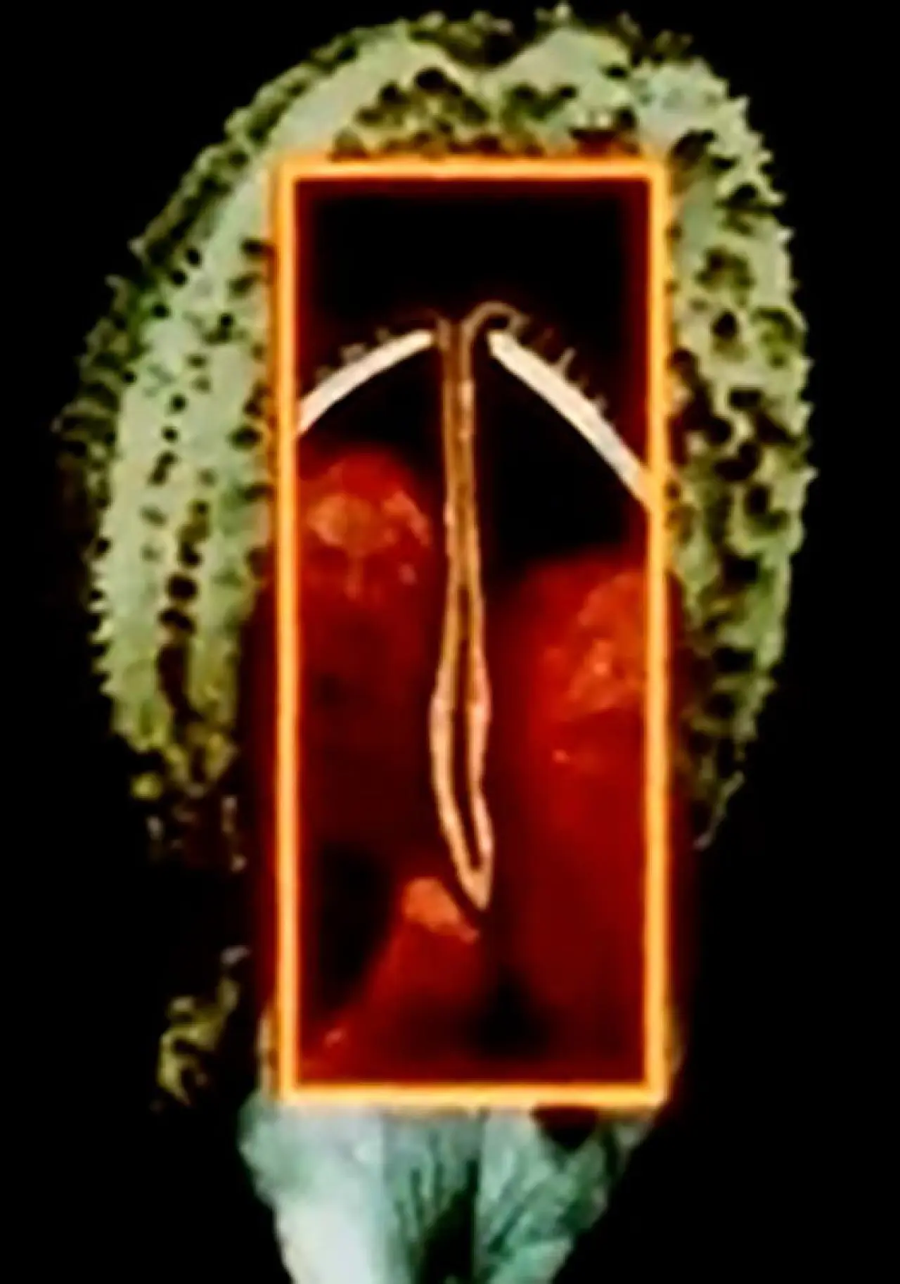Постер к фильму "Maternal Language Part 1: The Construction of Maternal Form & its Adaptation to Absent Sexual Vitality"