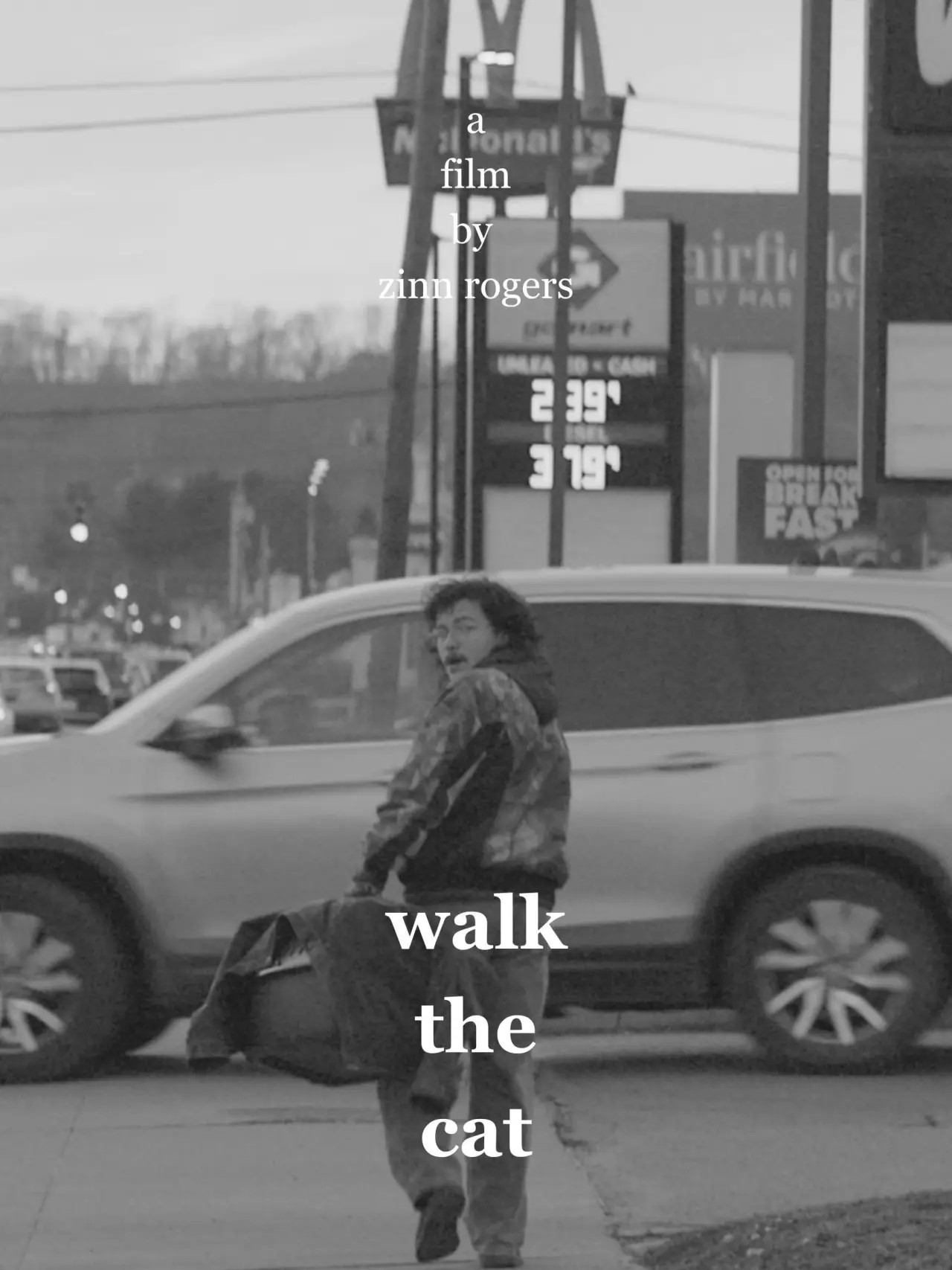 Постер к фильму "Walk the Cat"