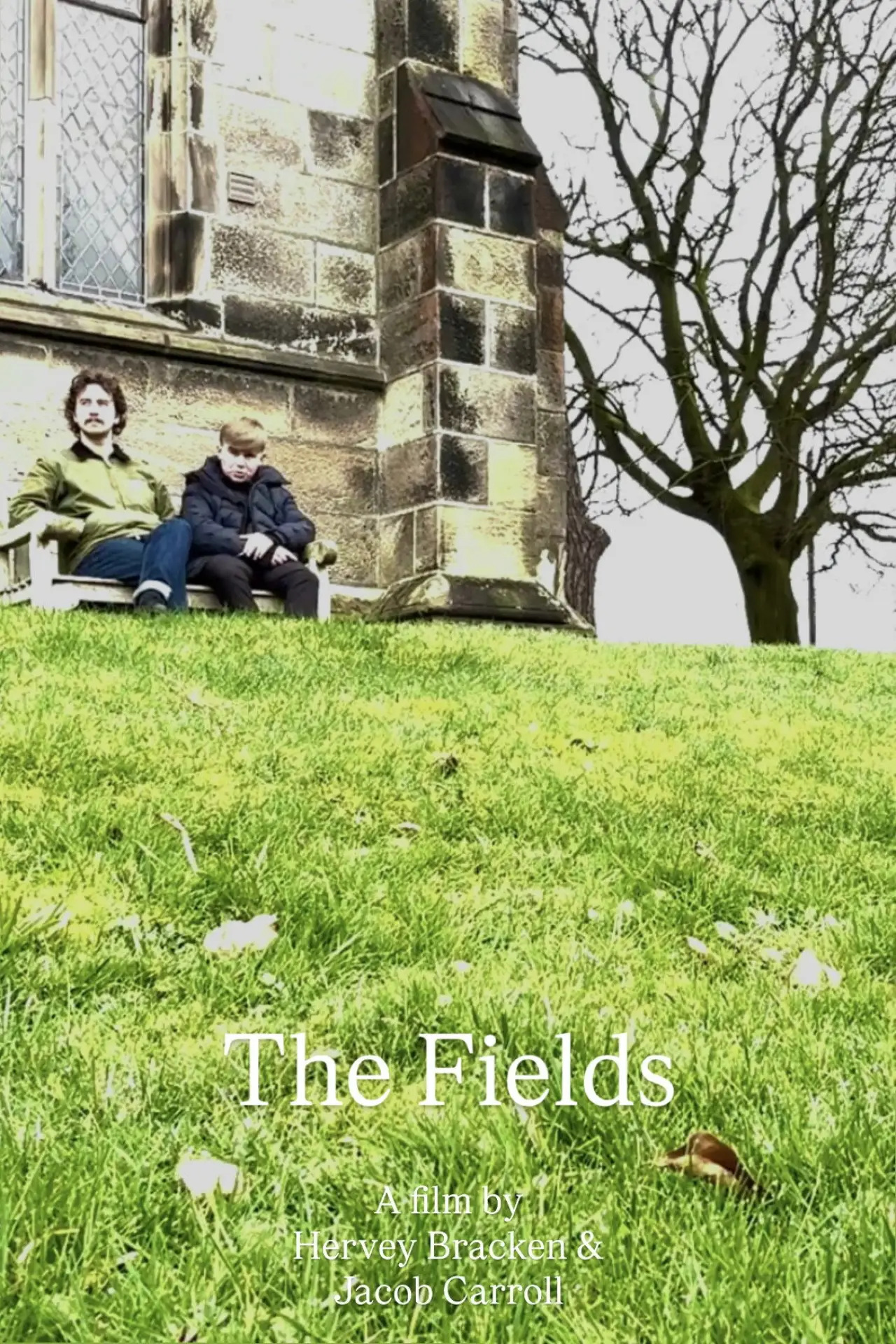 Постер к фильму "The Fields"