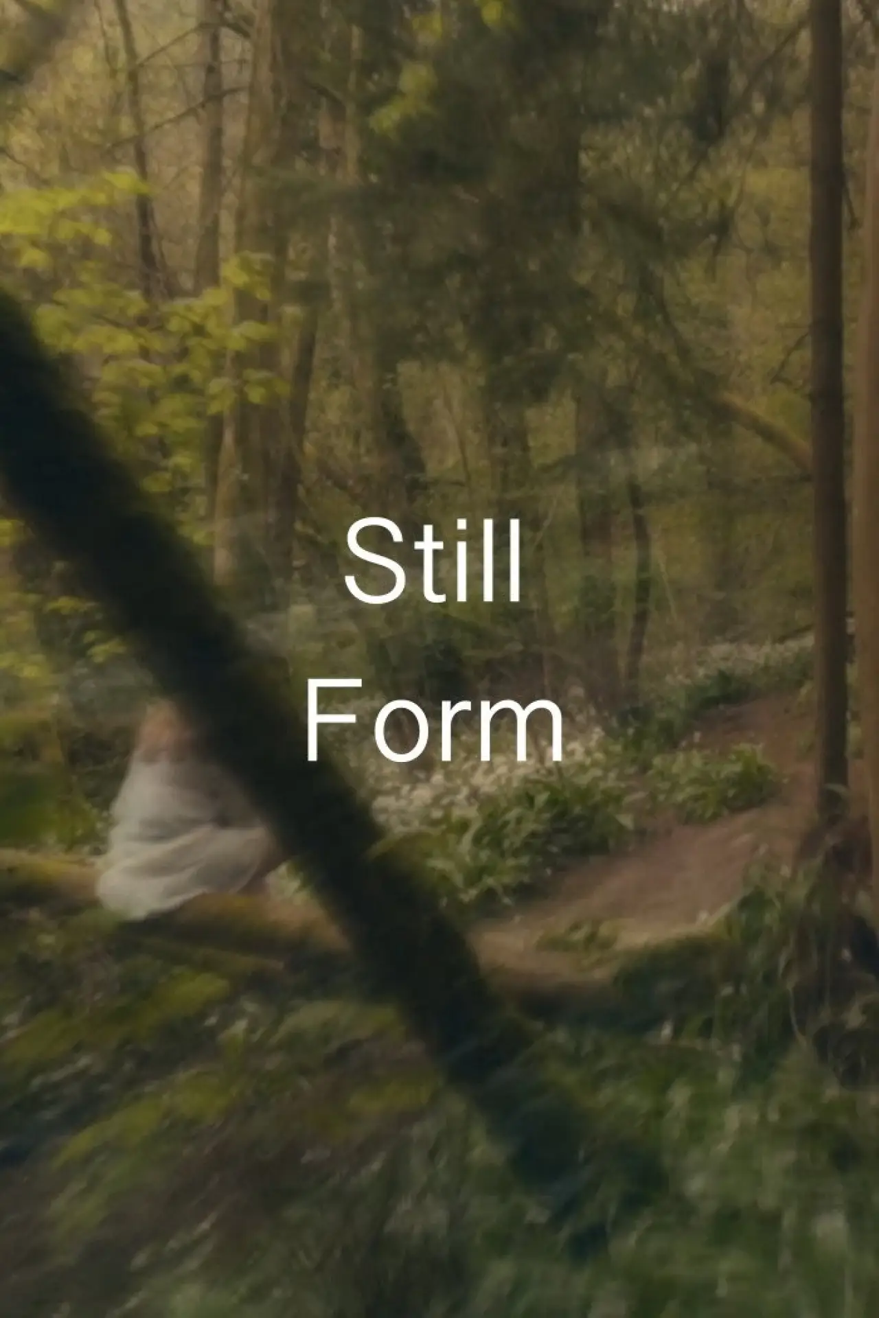 Постер к фильму "Still Form"
