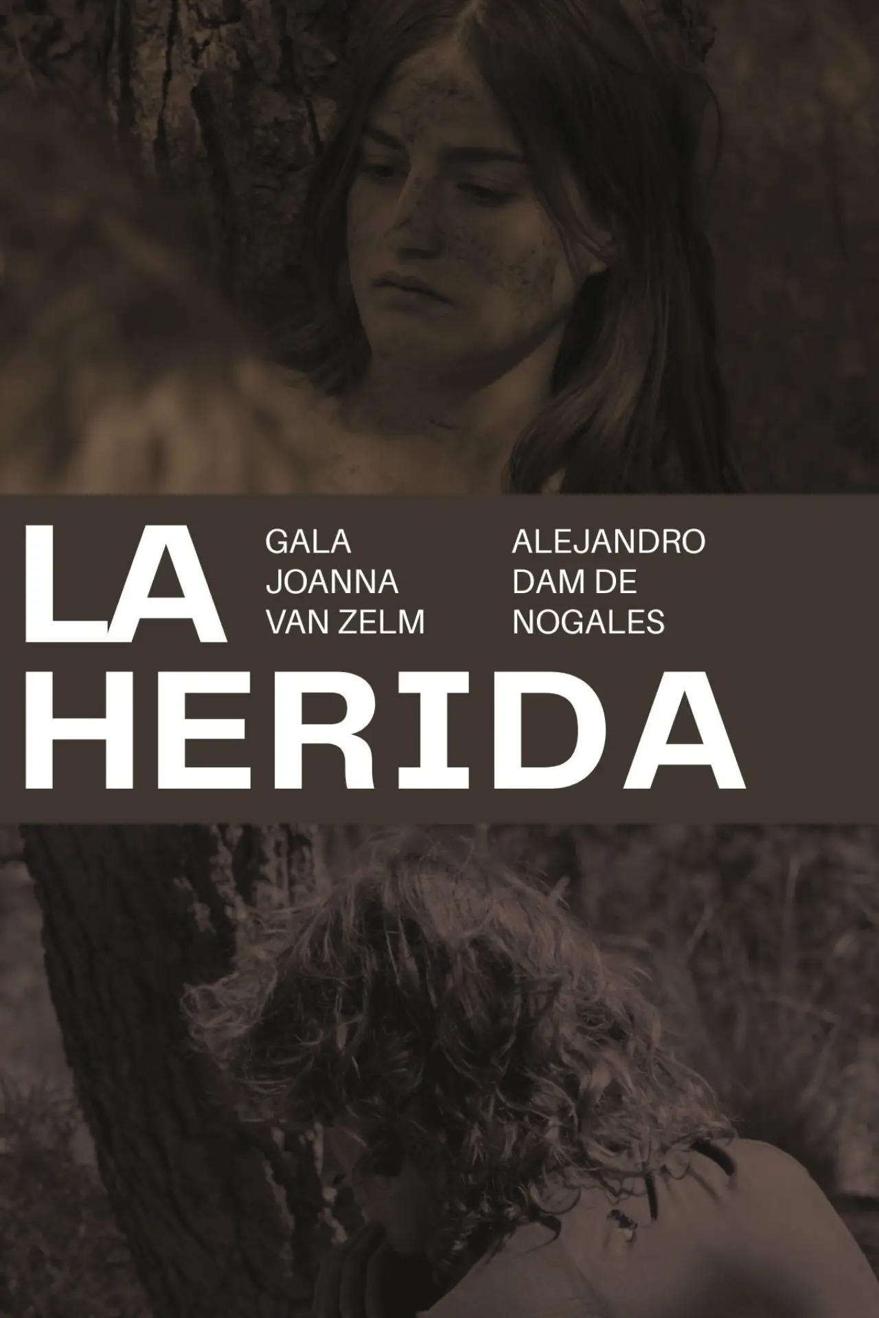 Постер к фильму "La herida"