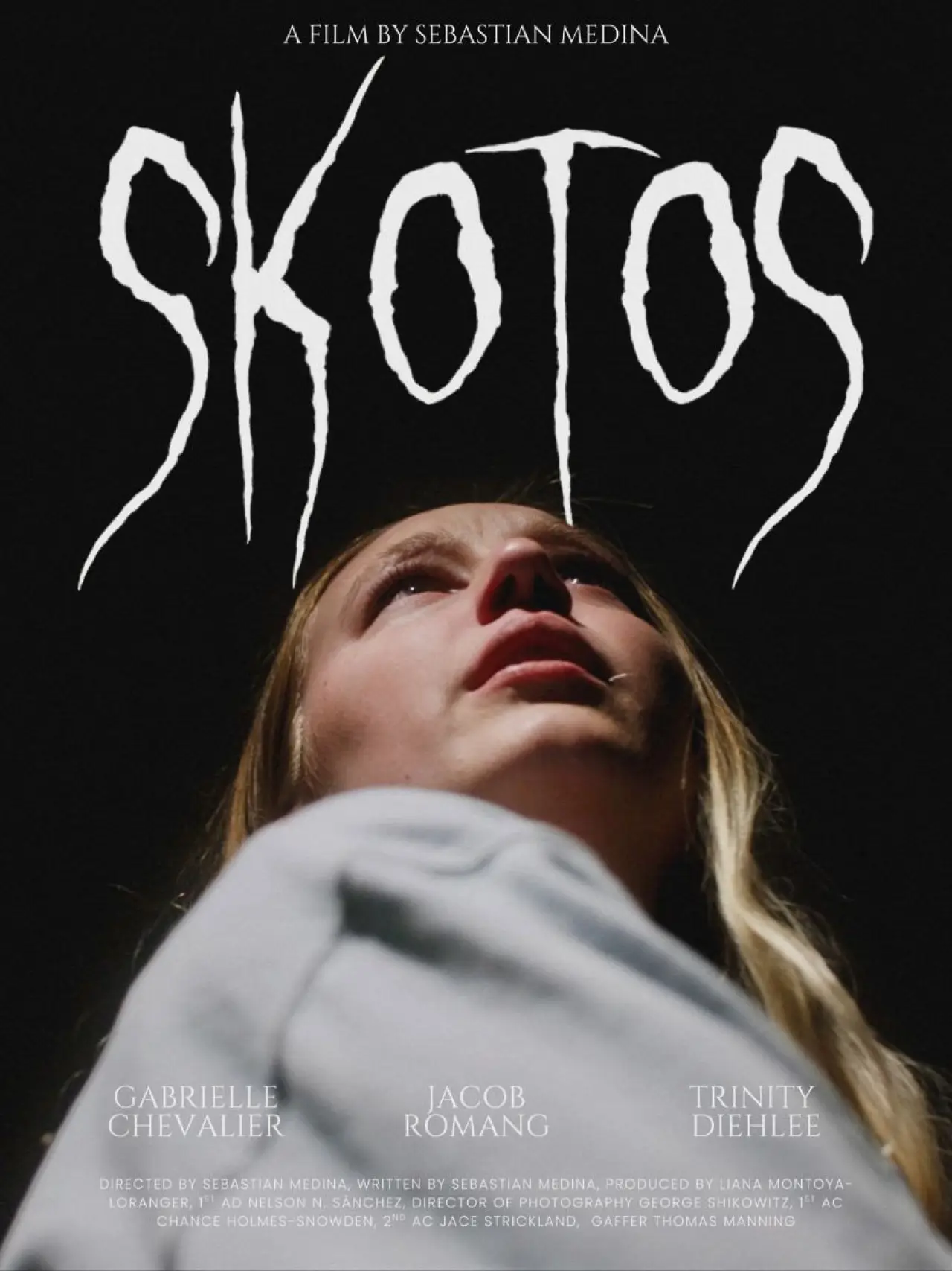 Постер к фильму "Skotos"