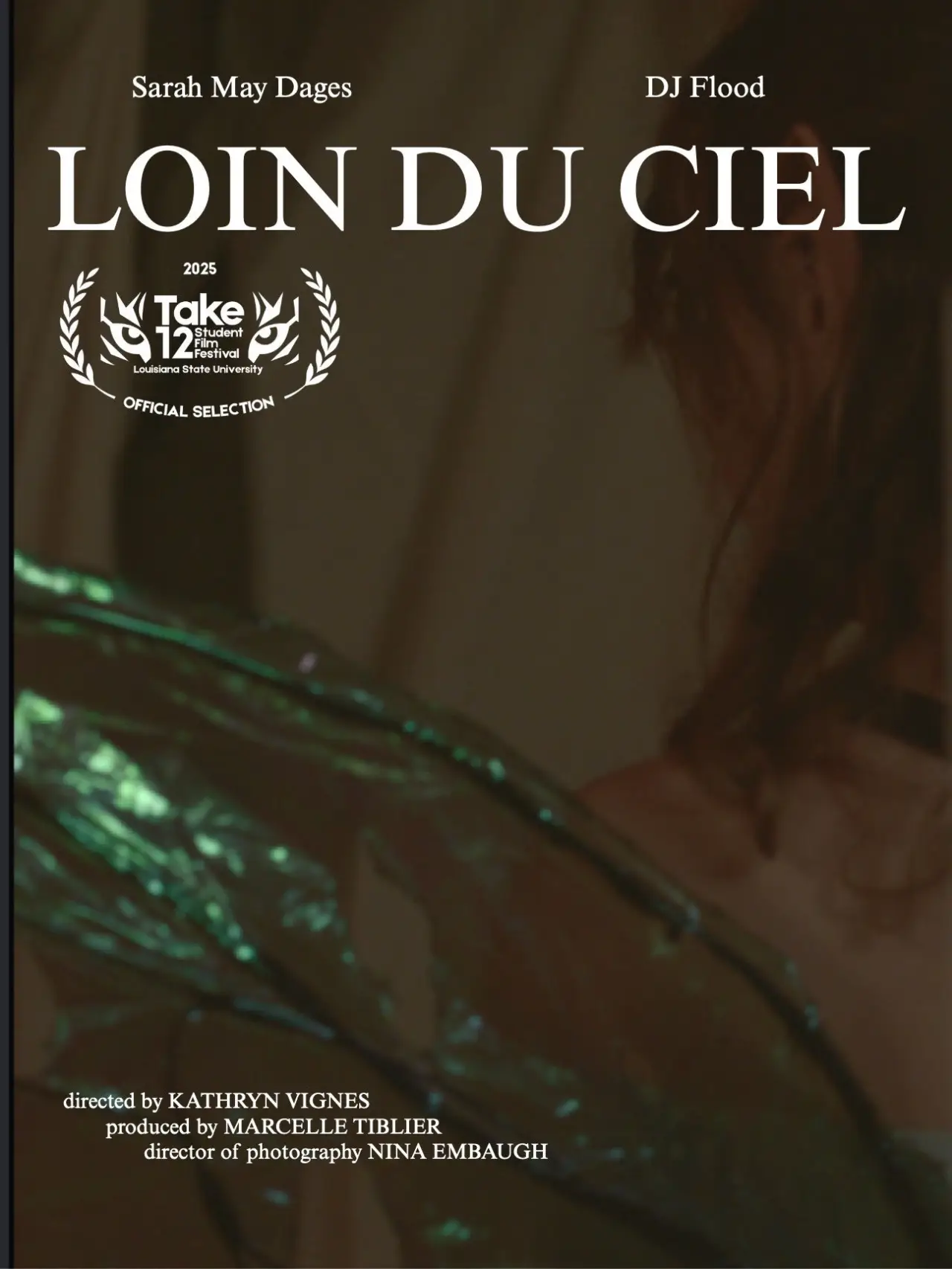 Постер к фильму "Loin Du Ciel"