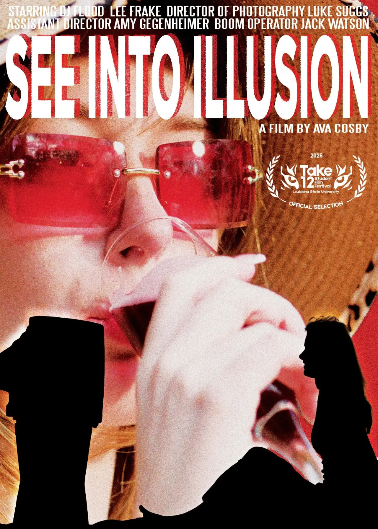Постер к фильму "See Into Illusion"