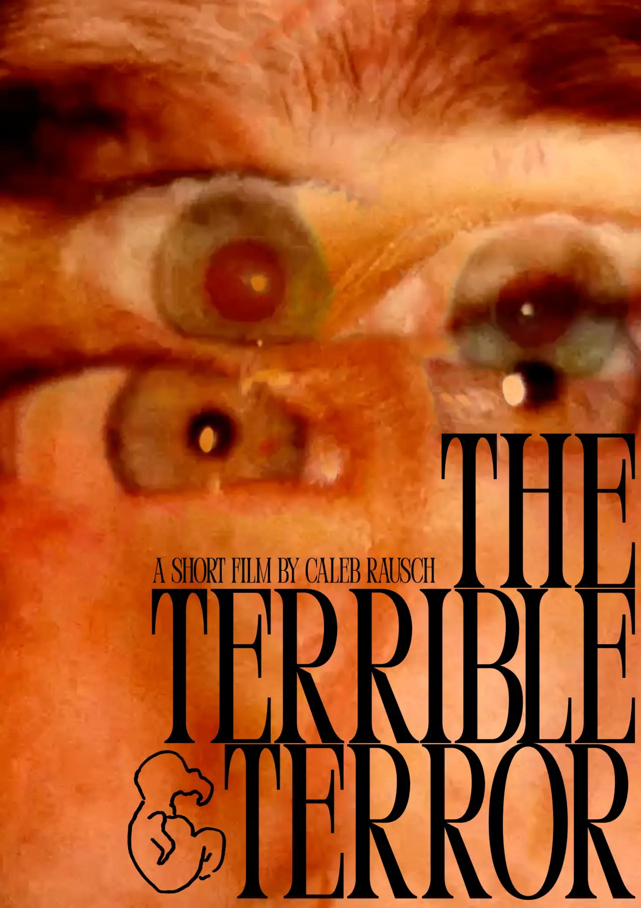 Постер к фильму "The Terrible Terror"