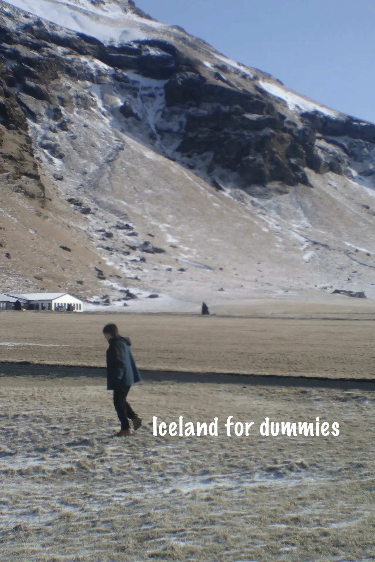 Постер к фильму "Iceland for Dummies"