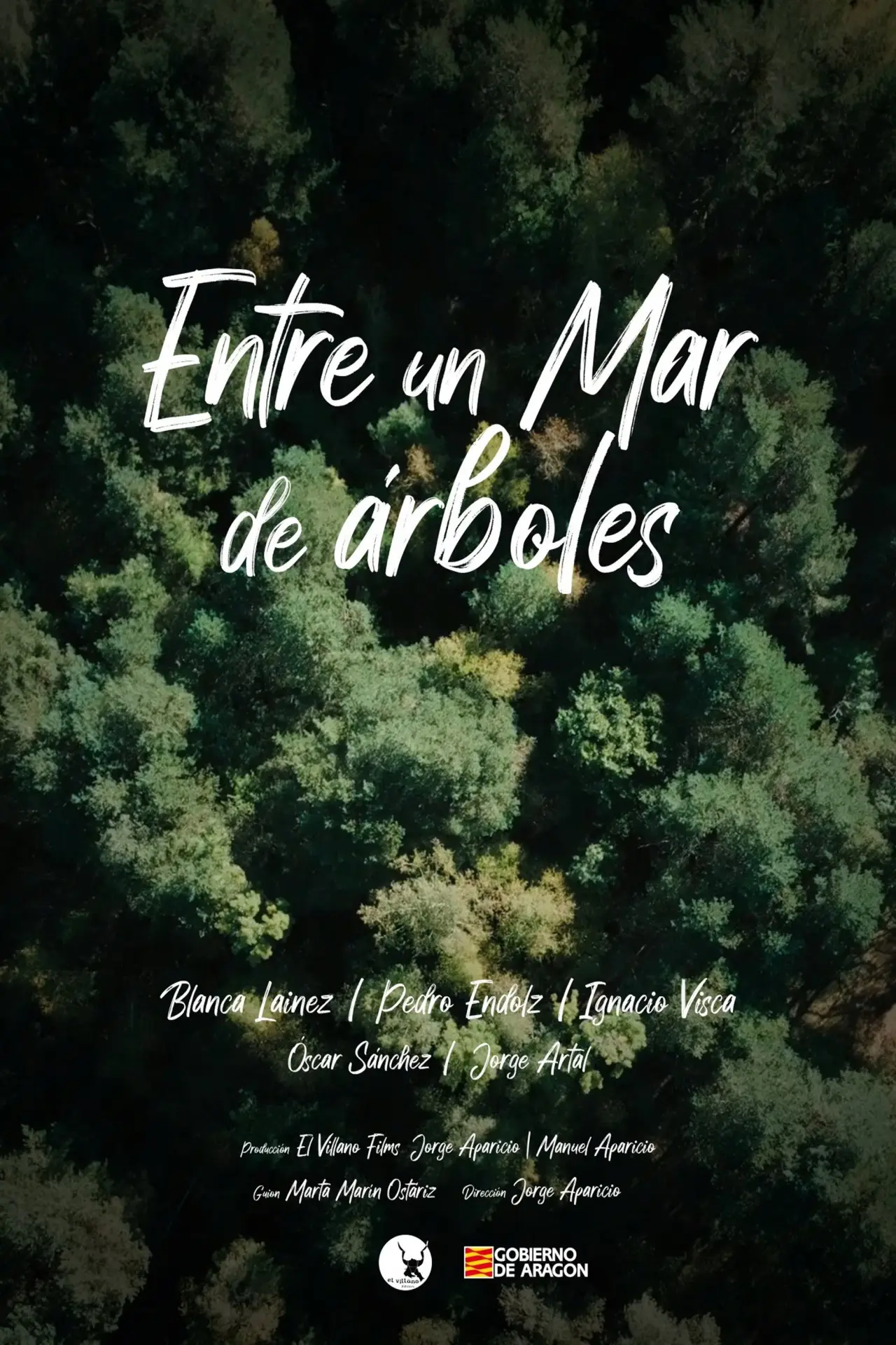 Постер к фильму "Entre un mar de árboles"