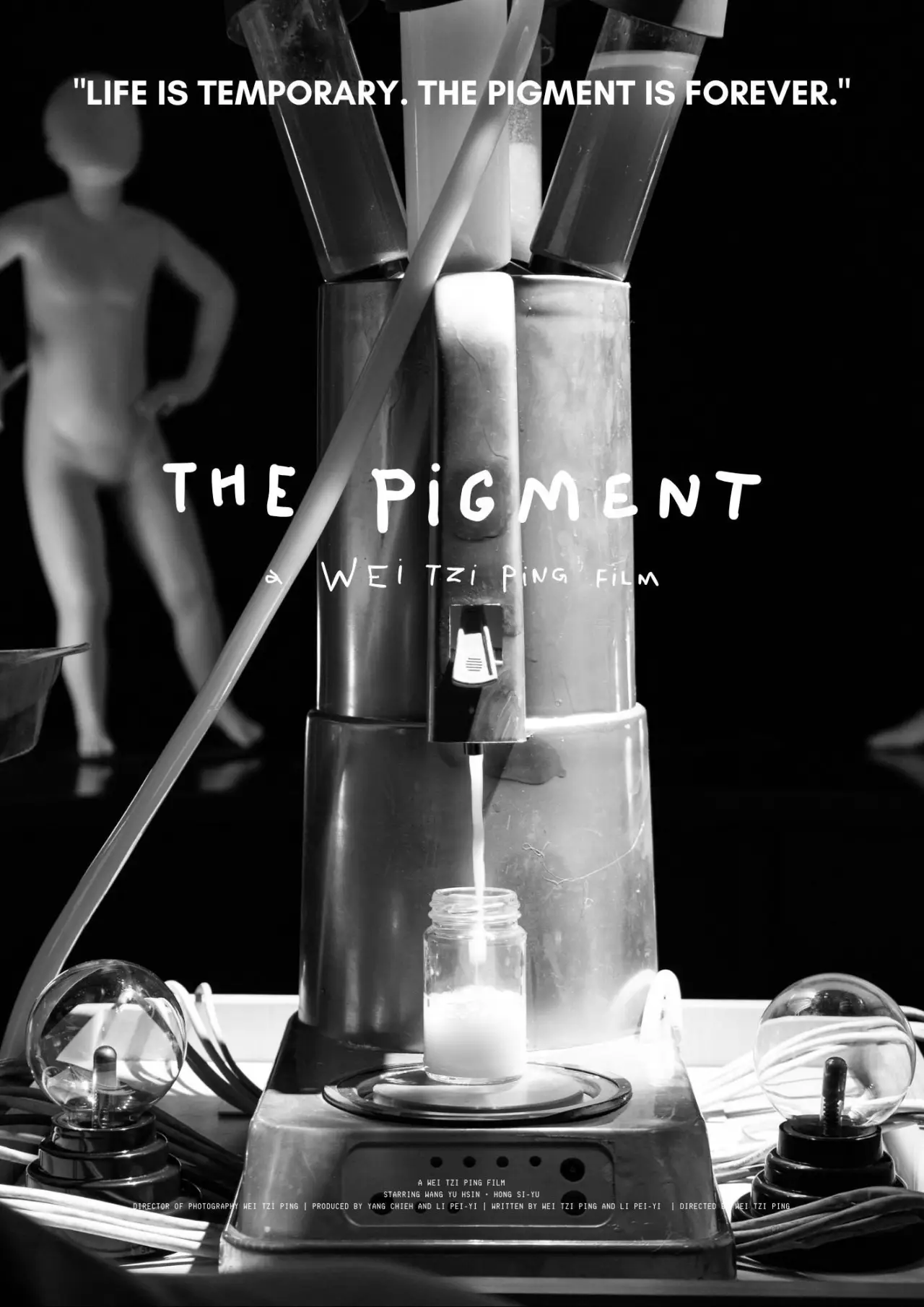 Постер к фильму "THE PIGMENT"