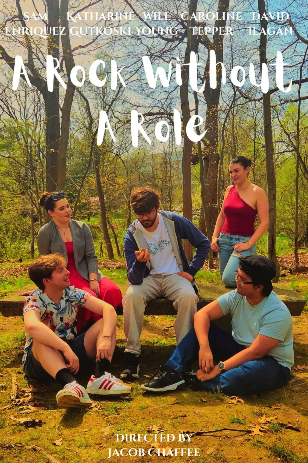 Постер к фильму "A Rock Without a Role"