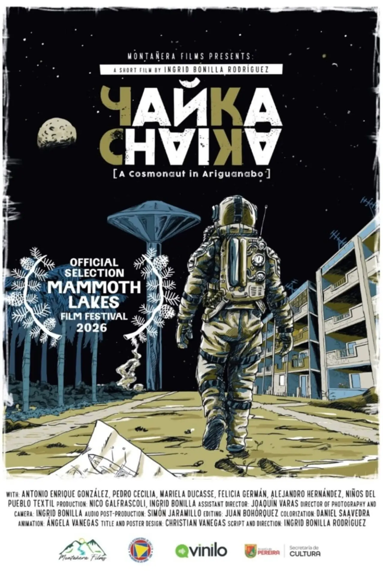 Постер к фильму "Chaika"