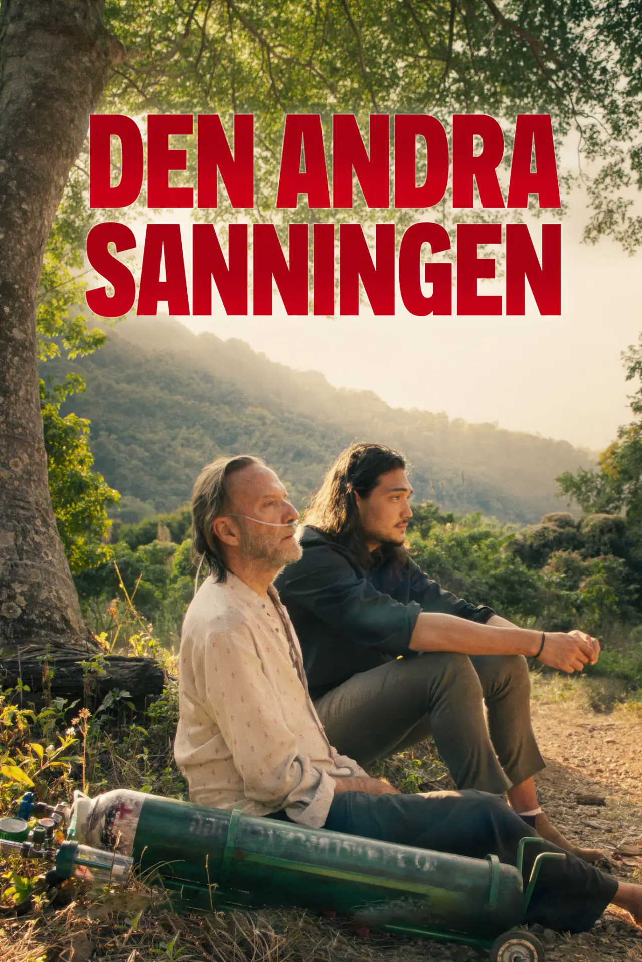 Постер к фильму "Den andra sanningen"