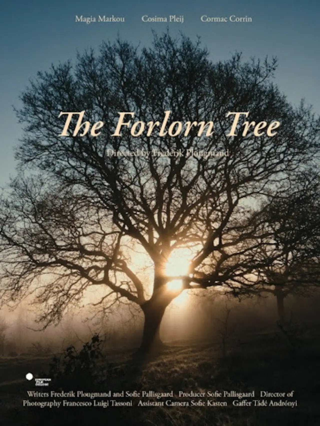 Постер к фильму "The Forlorn Tree"