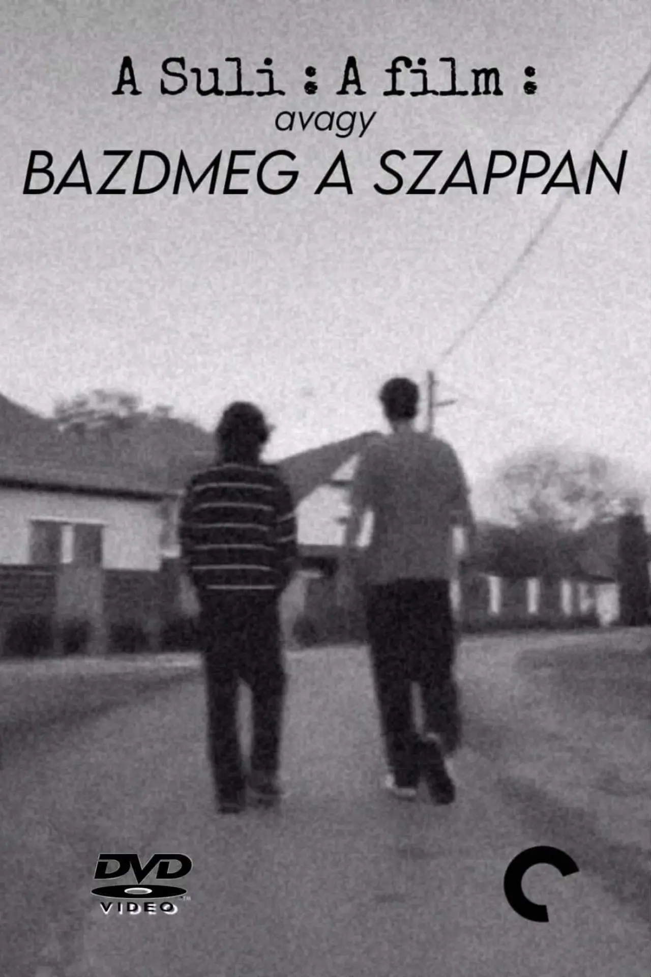 Постер к фильму "A Suli: A Film avagy Bazdmeg a Szappan"