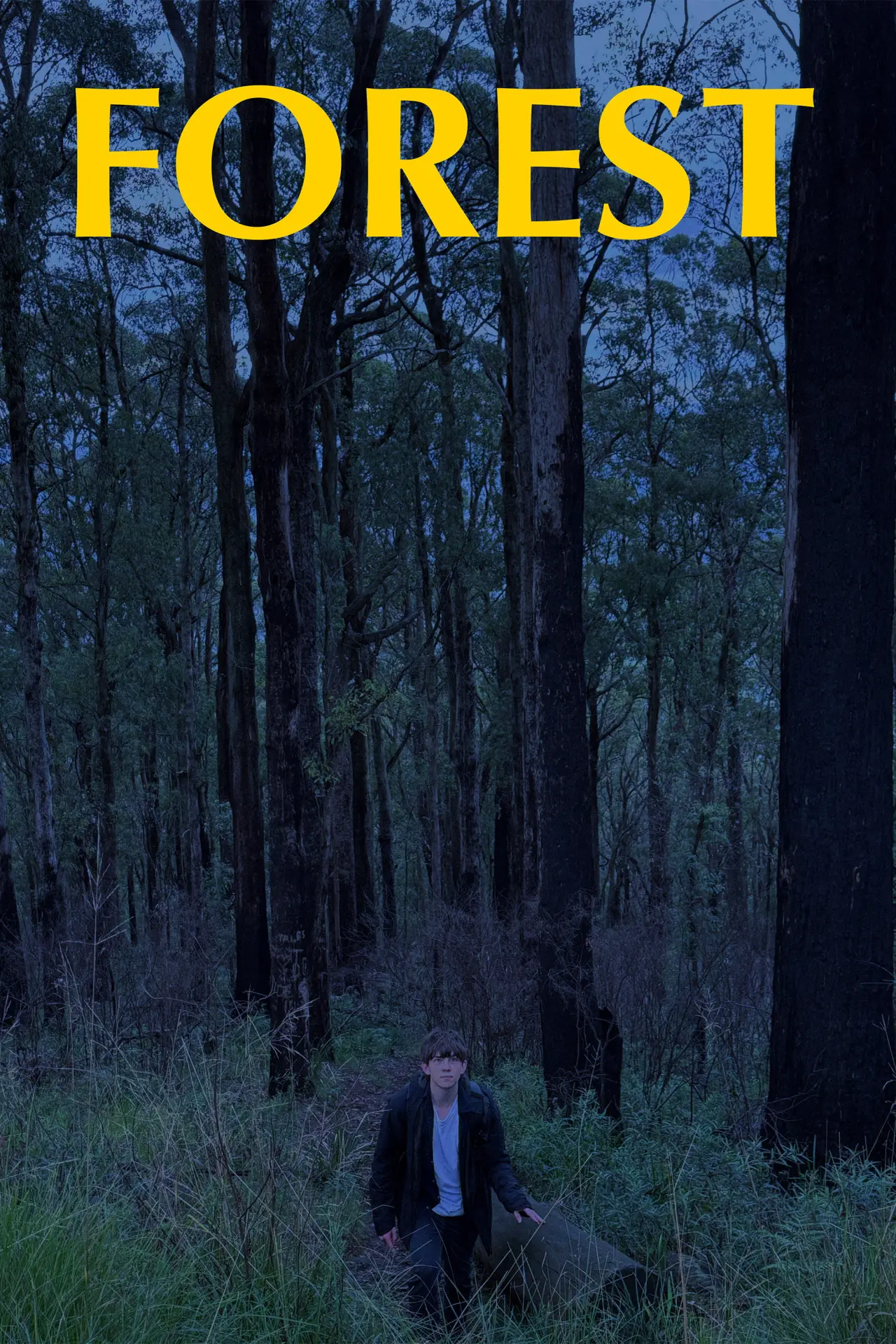 Постер к фильму "FOREST"