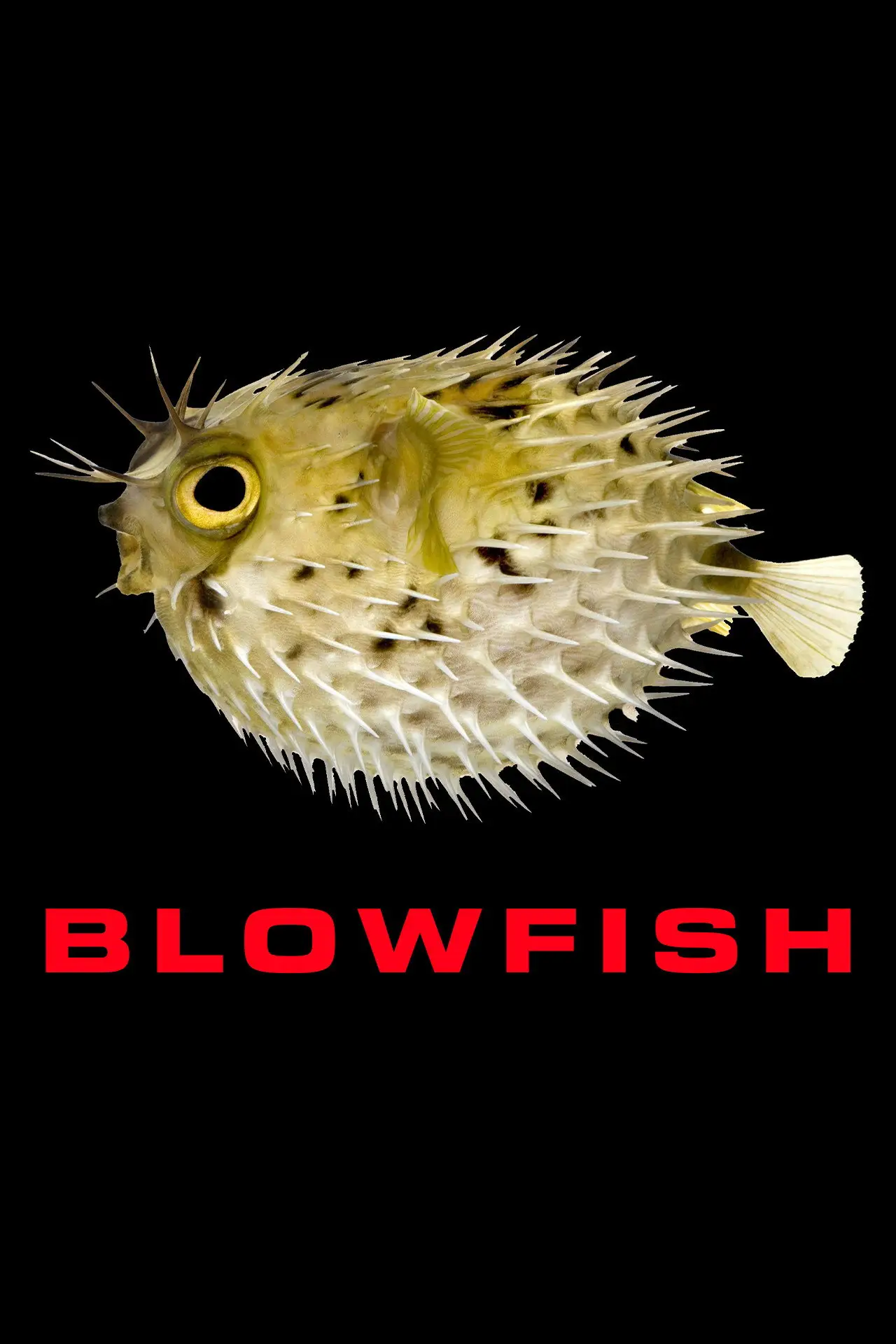 Постер к фильму "Blowfish"