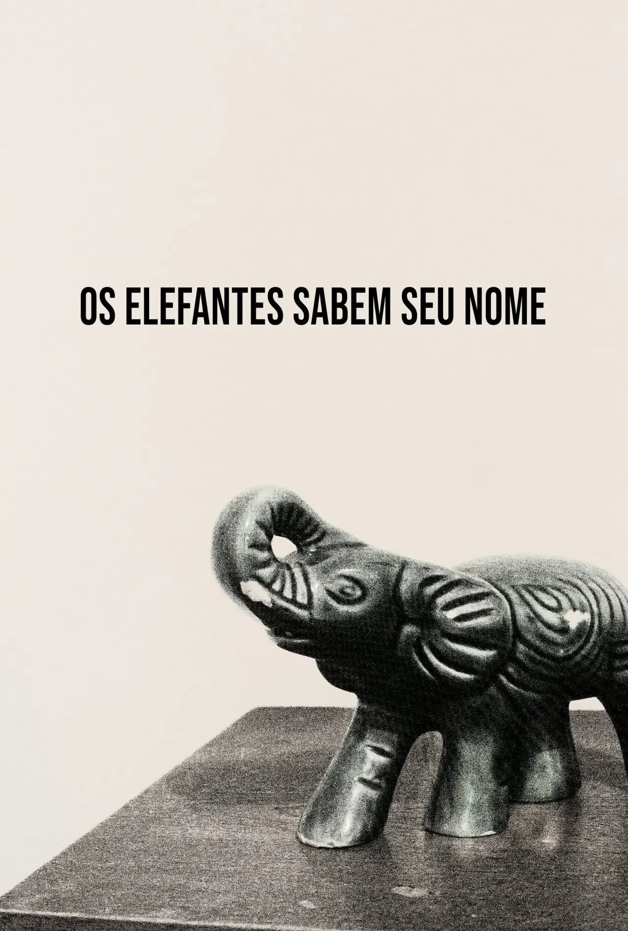 Постер к фильму "Os Elefantes Sabem Seu Nome"