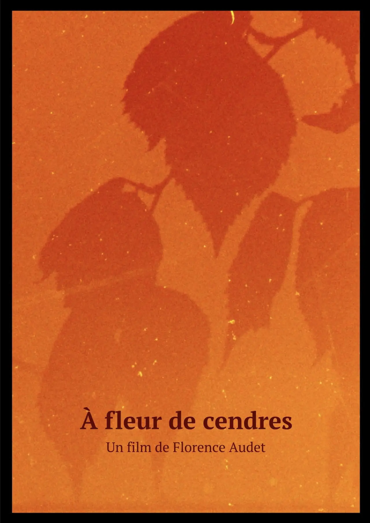 Постер к фильму "À fleur de cendres"