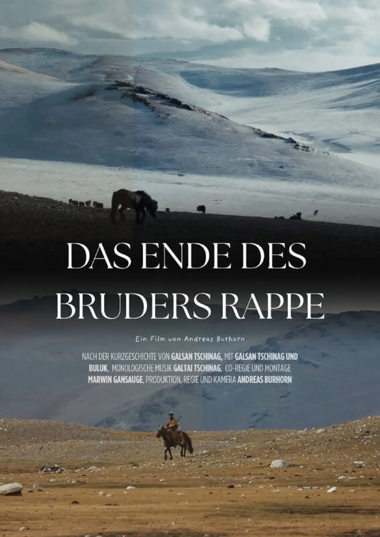 Постер к фильму "Das Ende des Bruders Rappe"