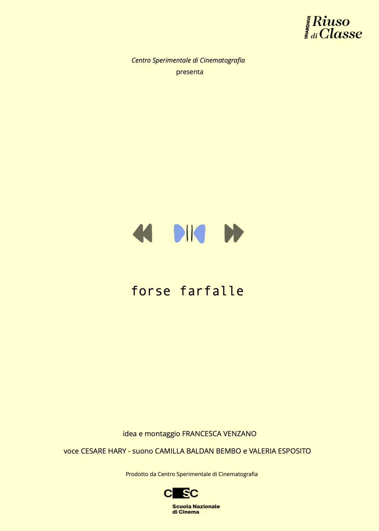 Постер к фильму "Forse farfalle"
